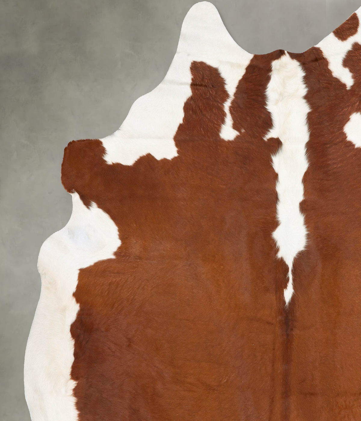 Hereford XX-Large Brazilian Cowhide Rug 8'9"H x 7'5"W #B28014 by Hudson Hides