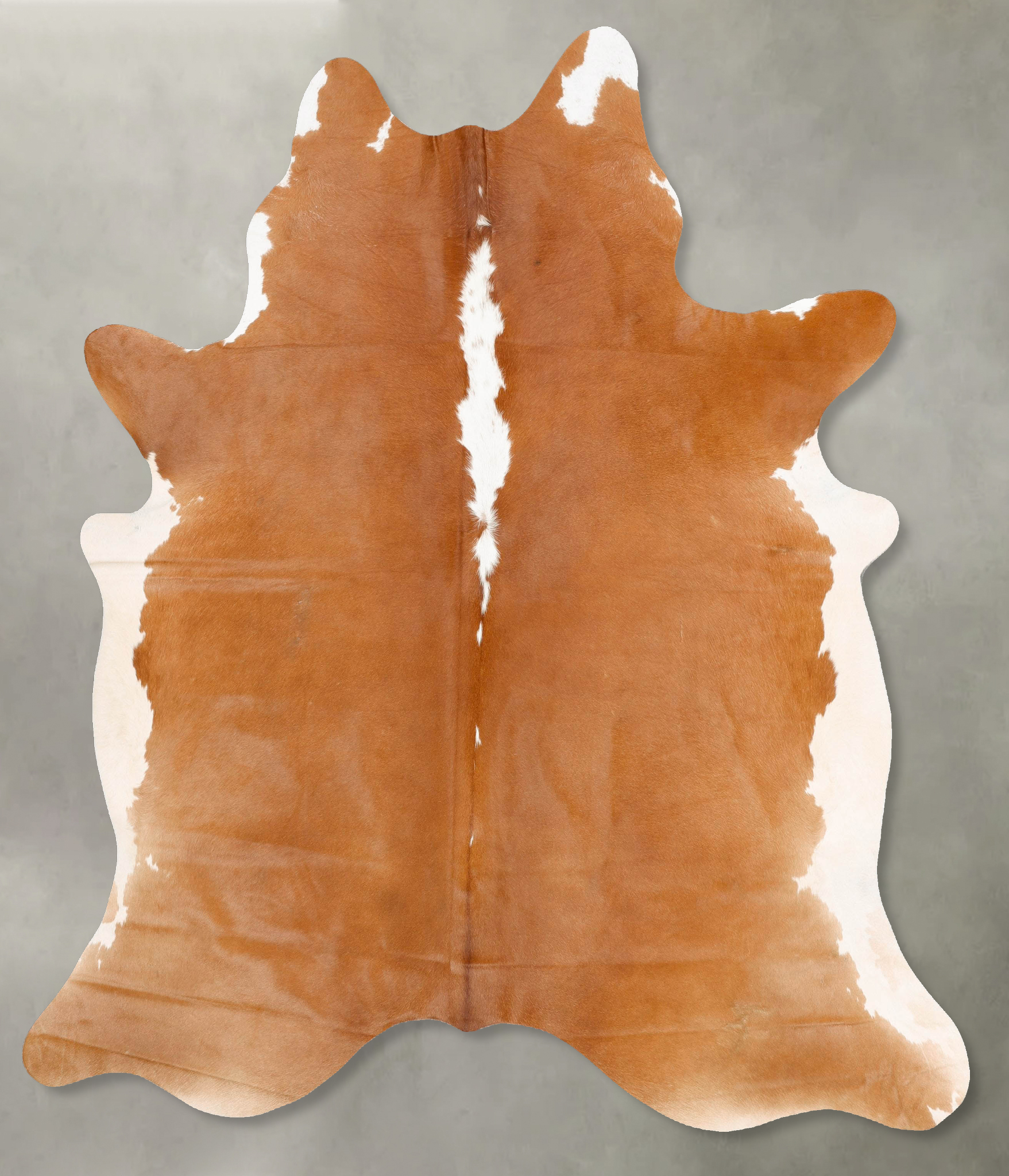 Brown and White Regular Cowhide Rug #B28026