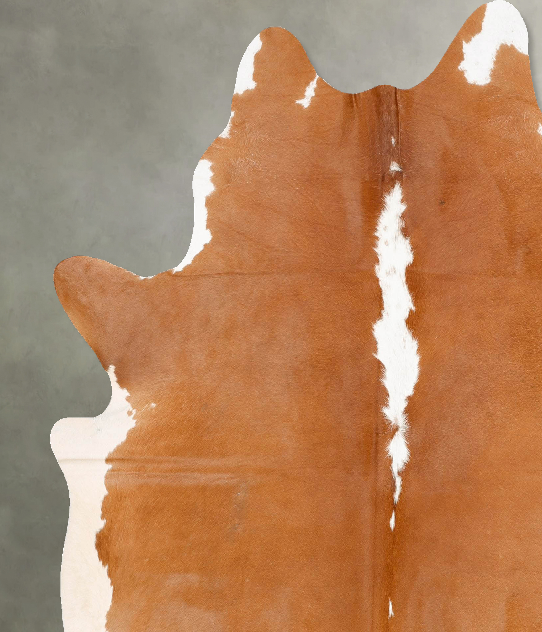 Brown and White Regular Cowhide Rug #B28026