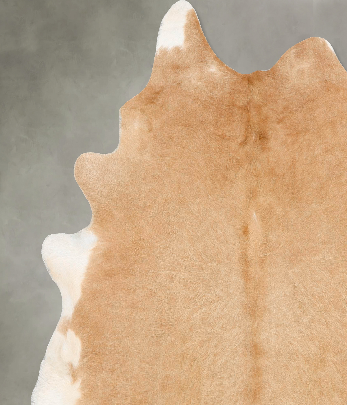 Beige XX-Large Brazilian Cowhide Rug 7'8"H x 6'7"W #B28027 by Hudson Hides