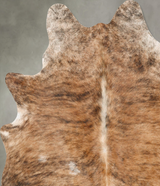 Medium Brindle X-Large Brazilian Cowhide Rug 7'1"H x 5'11"W #B28029 by Hudson Hides