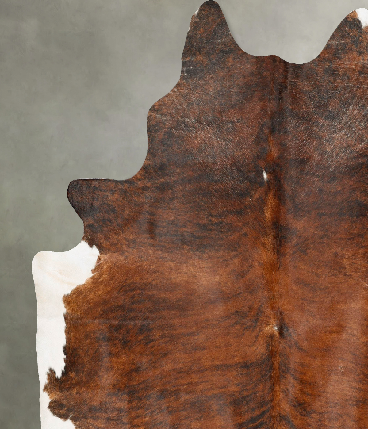 Medium Brindle XX-Large Brazilian Cowhide Rug 8'10"H x 7'9"W #B28054 by Hudson Hides