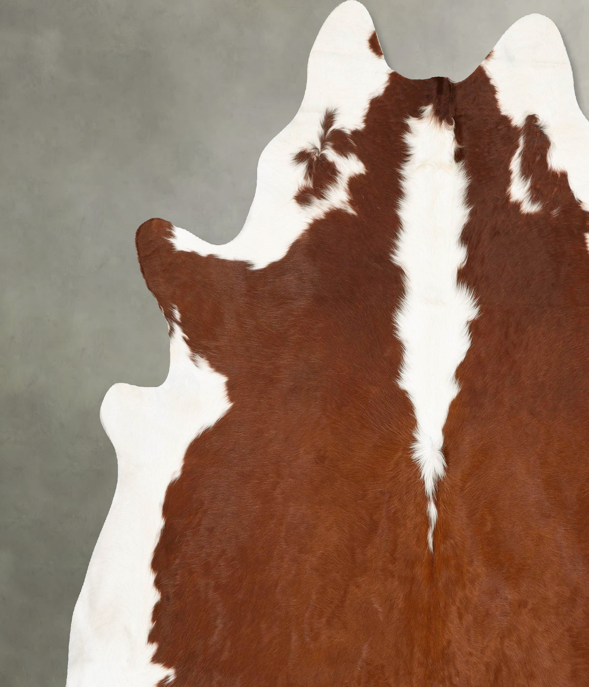 Hereford XX-Large Brazilian Cowhide Rug 8'6"H x 7'8"W #B28058 by Hudson Hides