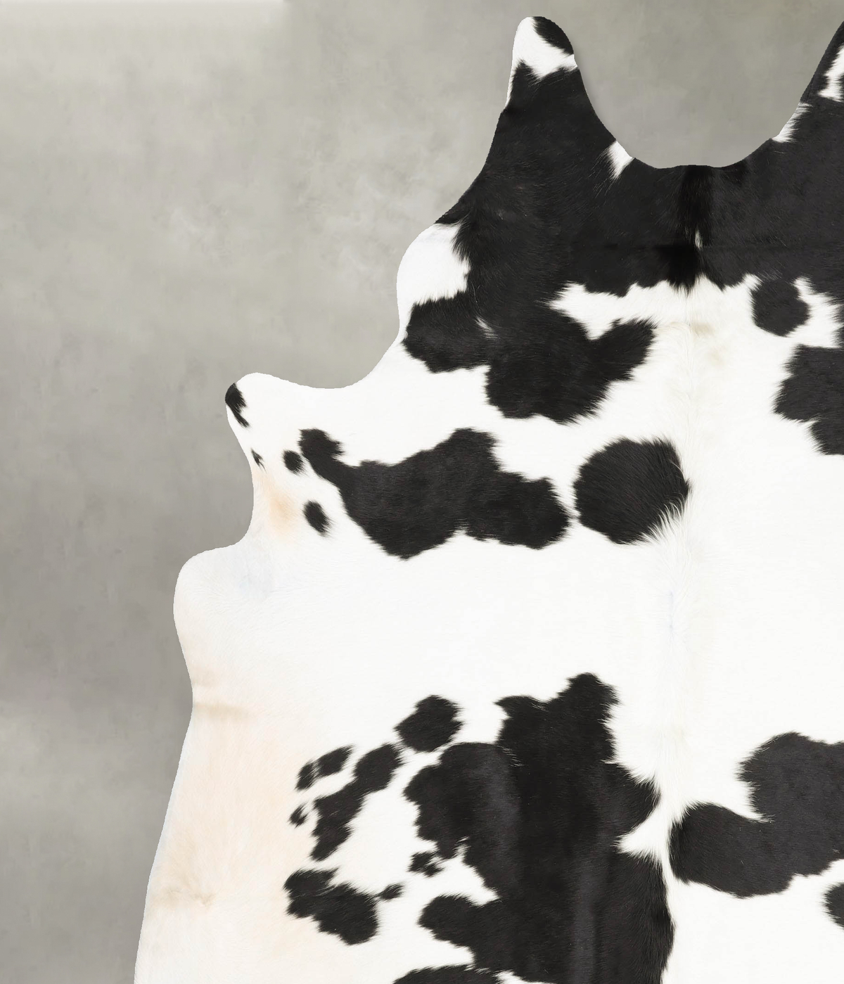 Black and White XX-Large Brazilian Cowhide Rug 8'3"H x 7'2"W #B28067 by Hudson Hides