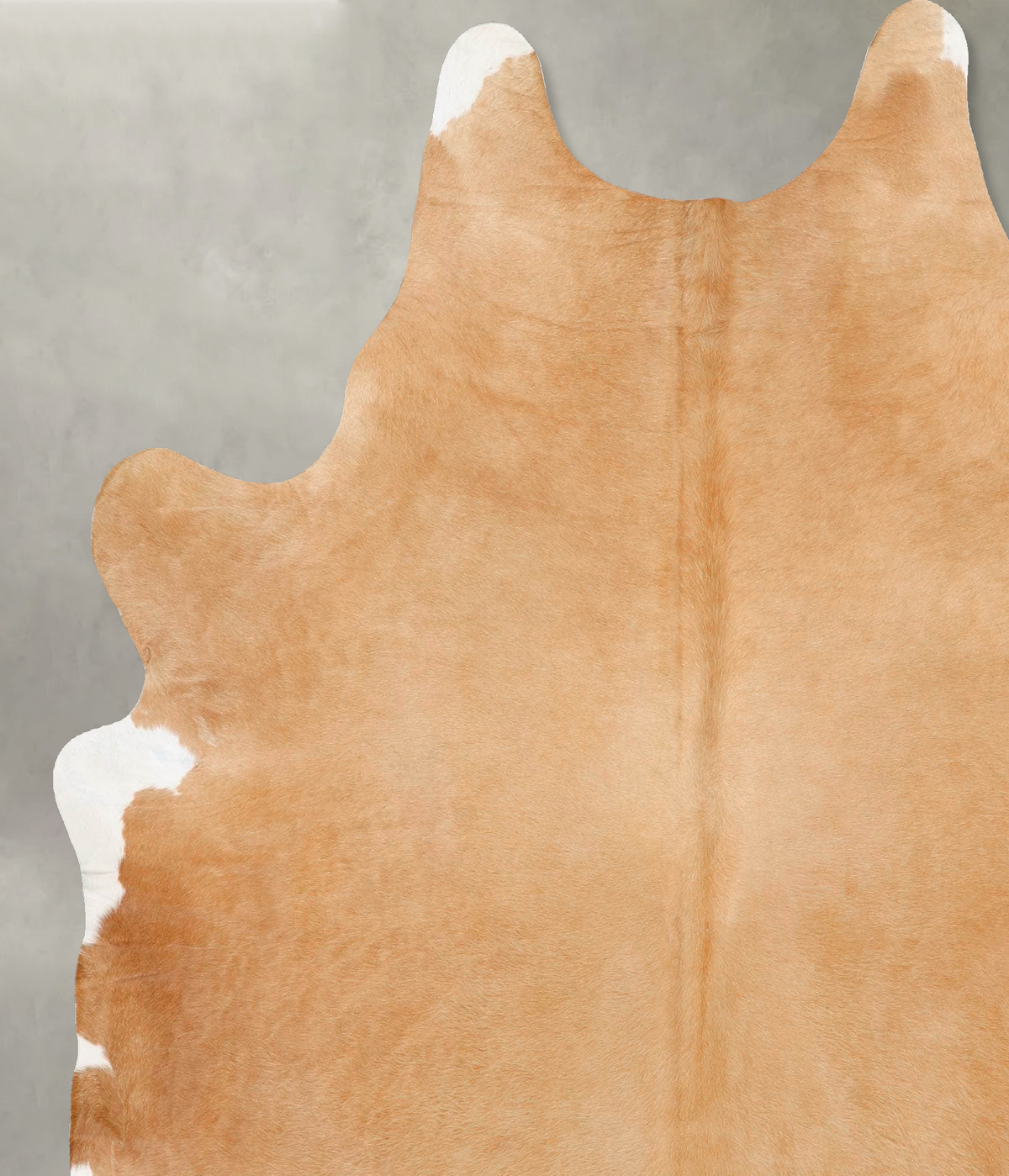 Beige XX-Large Brazilian Cowhide Rug 8'1"H x 6'6"W #B28072 by Hudson Hides