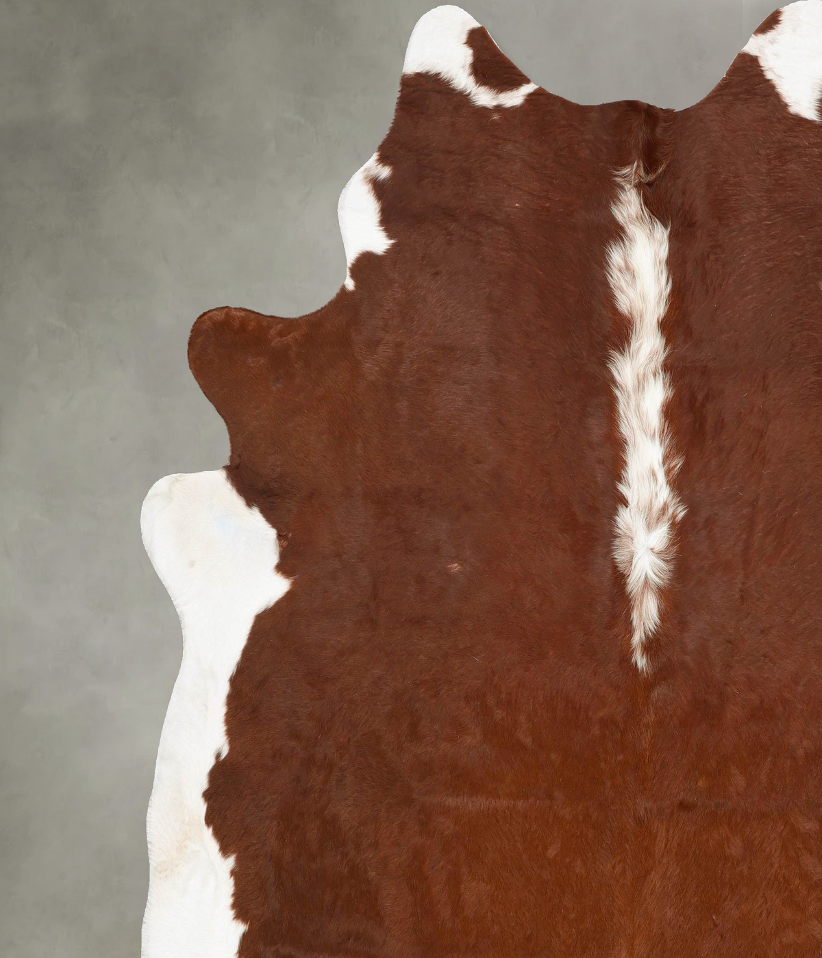 Hereford XX-Large Brazilian Cowhide Rug 8'3"H x 7'5"W #B28078 by Hudson Hides