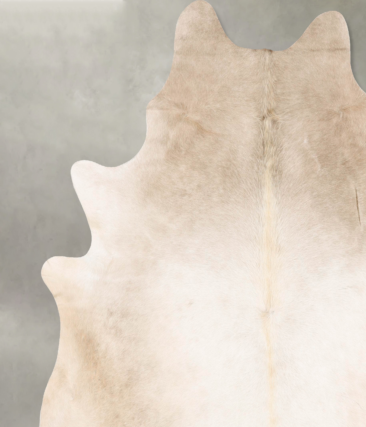 Champagne XX-Large Brazilian Cowhide Rug 8'5"H x 7'2"W #B28084 by Hudson Hides