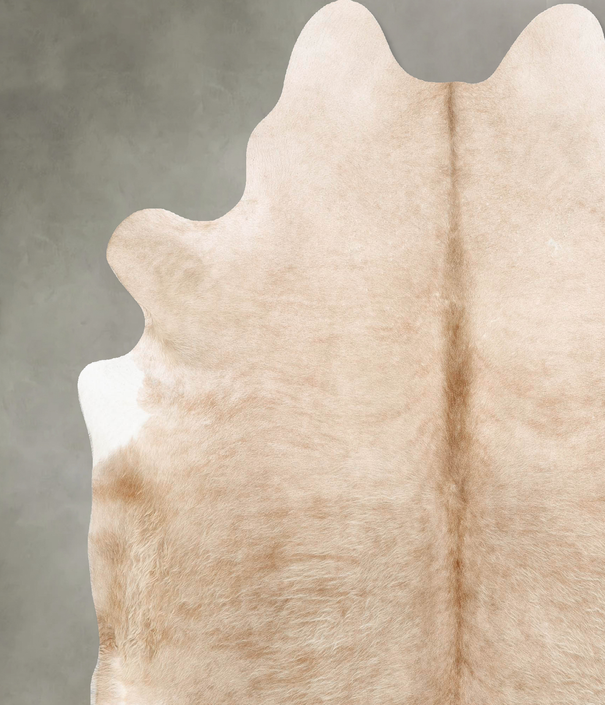 Champagne XX-Large Brazilian Cowhide Rug 8'0"H x 6'9"W #B28085 by Hudson Hides