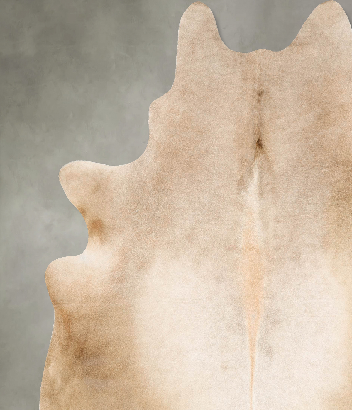 Champagne XX-Large Brazilian Cowhide Rug 8'5"H x 7'4"W #B28097 by Hudson Hides