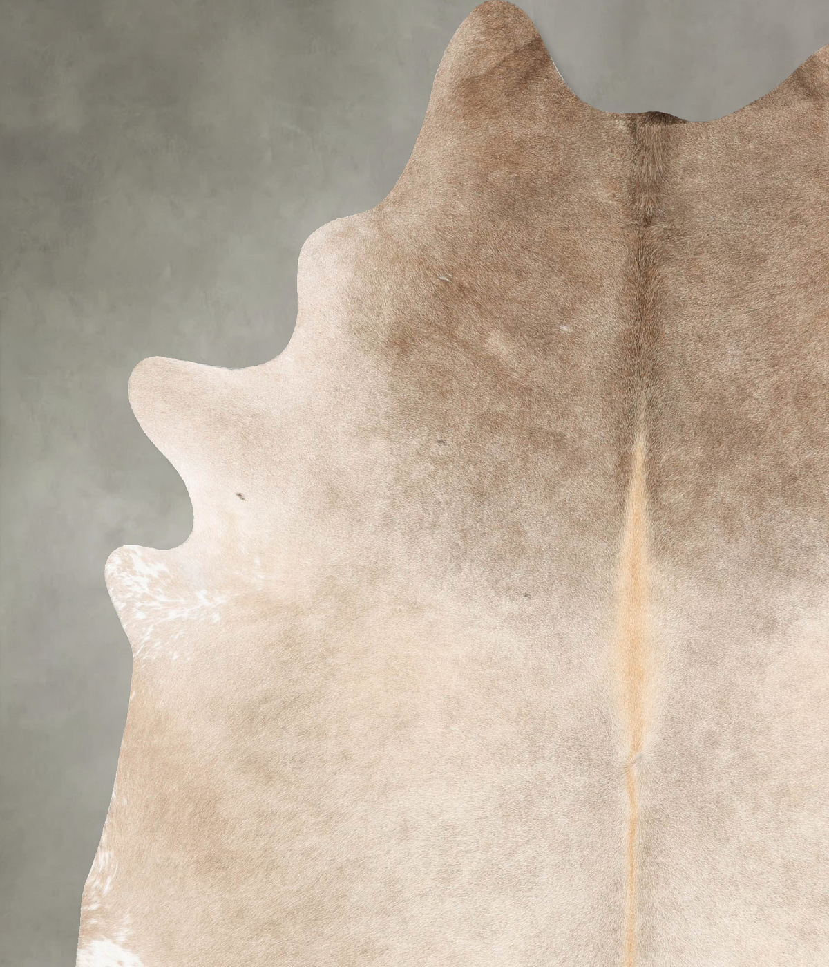 Champagne XX-Large Brazilian Cowhide Rug 8'2"H x 6'6"W #B28099 by Hudson Hides