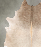 Champagne XX-Large Brazilian Cowhide Rug 8'2"H x 6'6"W #B28099 by Hudson Hides