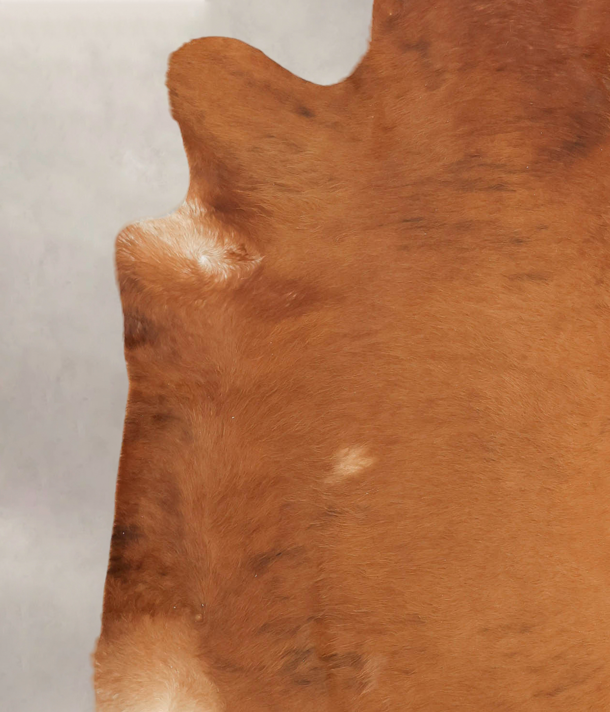 Medium Brindle X-Large Brazilian Cowhide Rug 7'0"H x 6'6"W #B2810 by Hudson Hides
