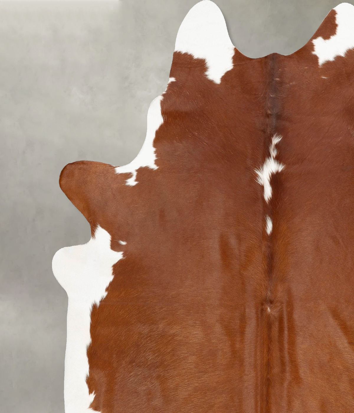 Hereford XX-Large Brazilian Cowhide Rug 8'3"H x 7'1"W #B28107 by Hudson Hides
