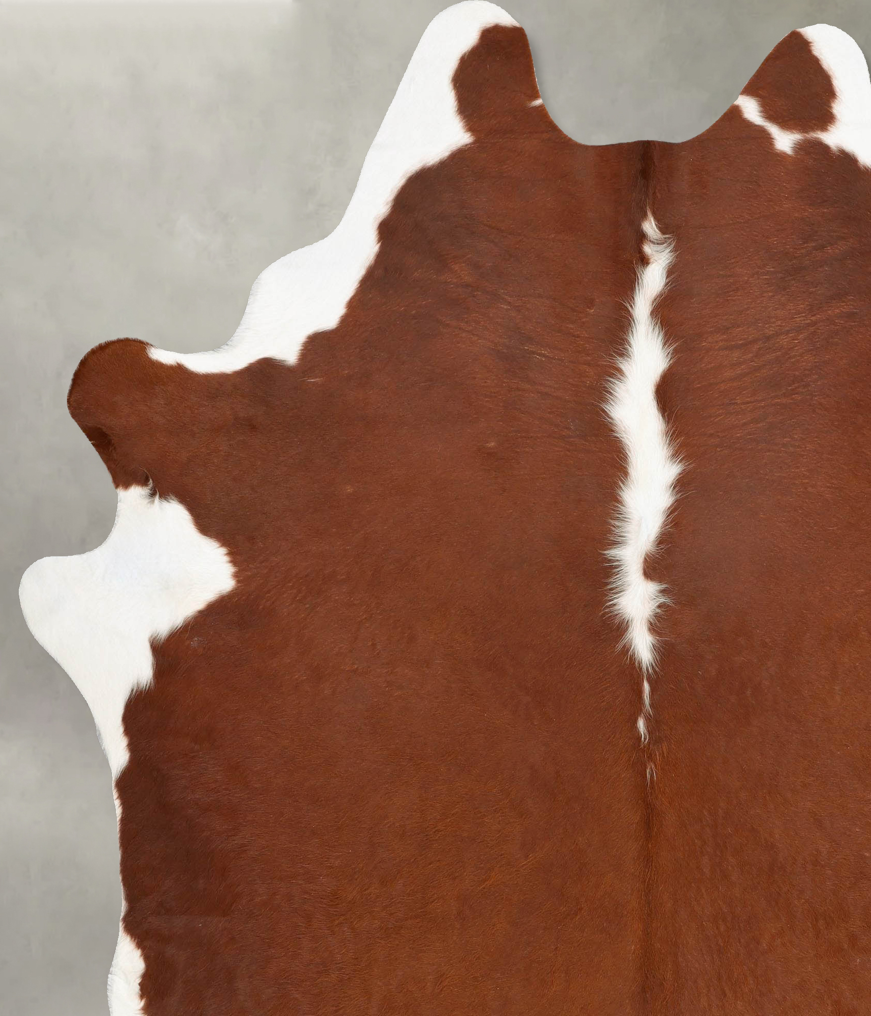 Hereford Cowhide Rug #B28109