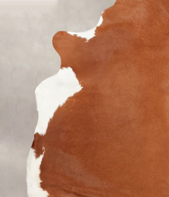 Hereford XX-Large Brazilian Cowhide Rug 7'8"H x 7'2"W #B2811 by Hudson Hides