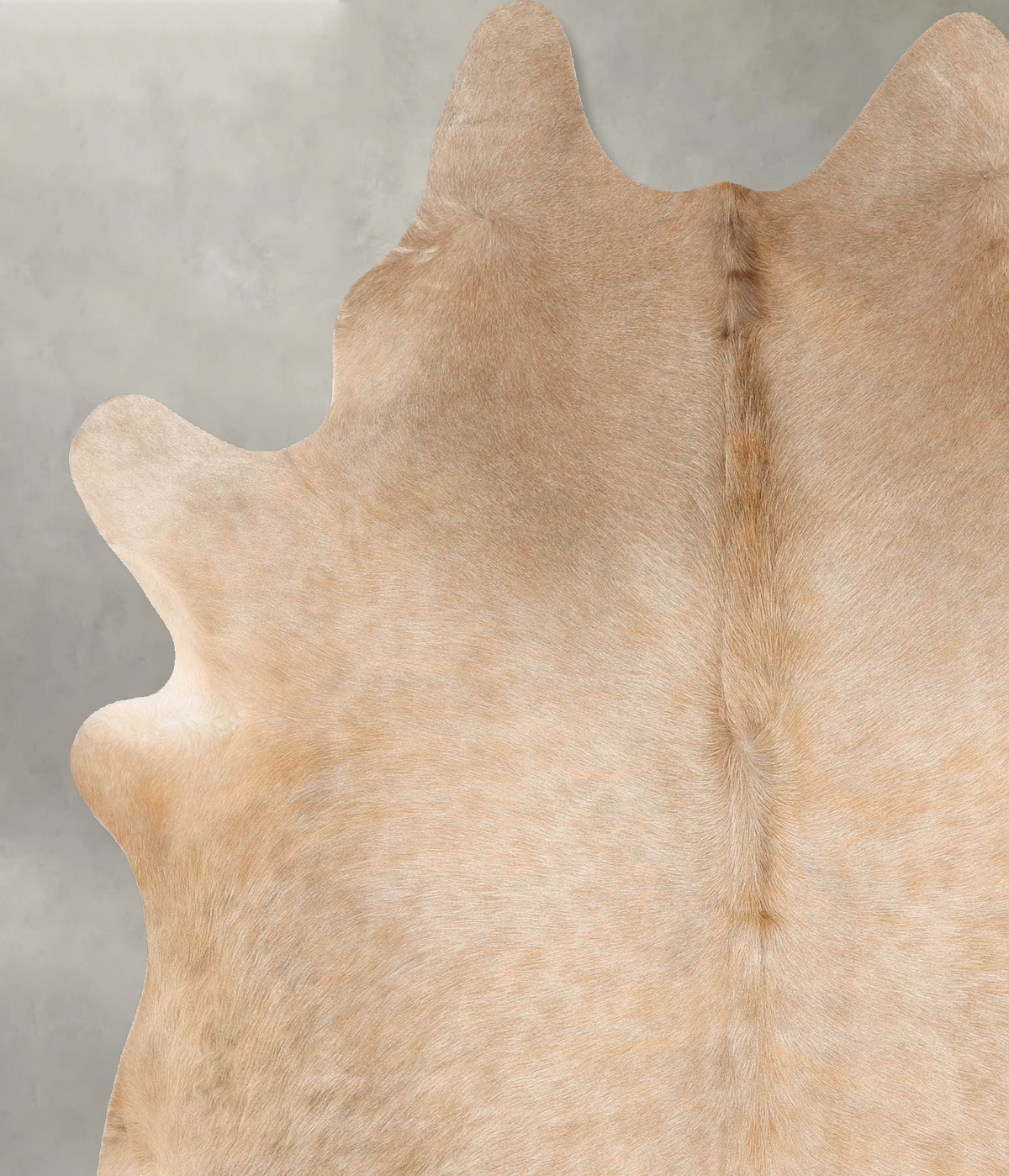 Champagne X-Large Brazilian Cowhide Rug 7'9"H x 6'4"W #B28117 by Hudson Hides