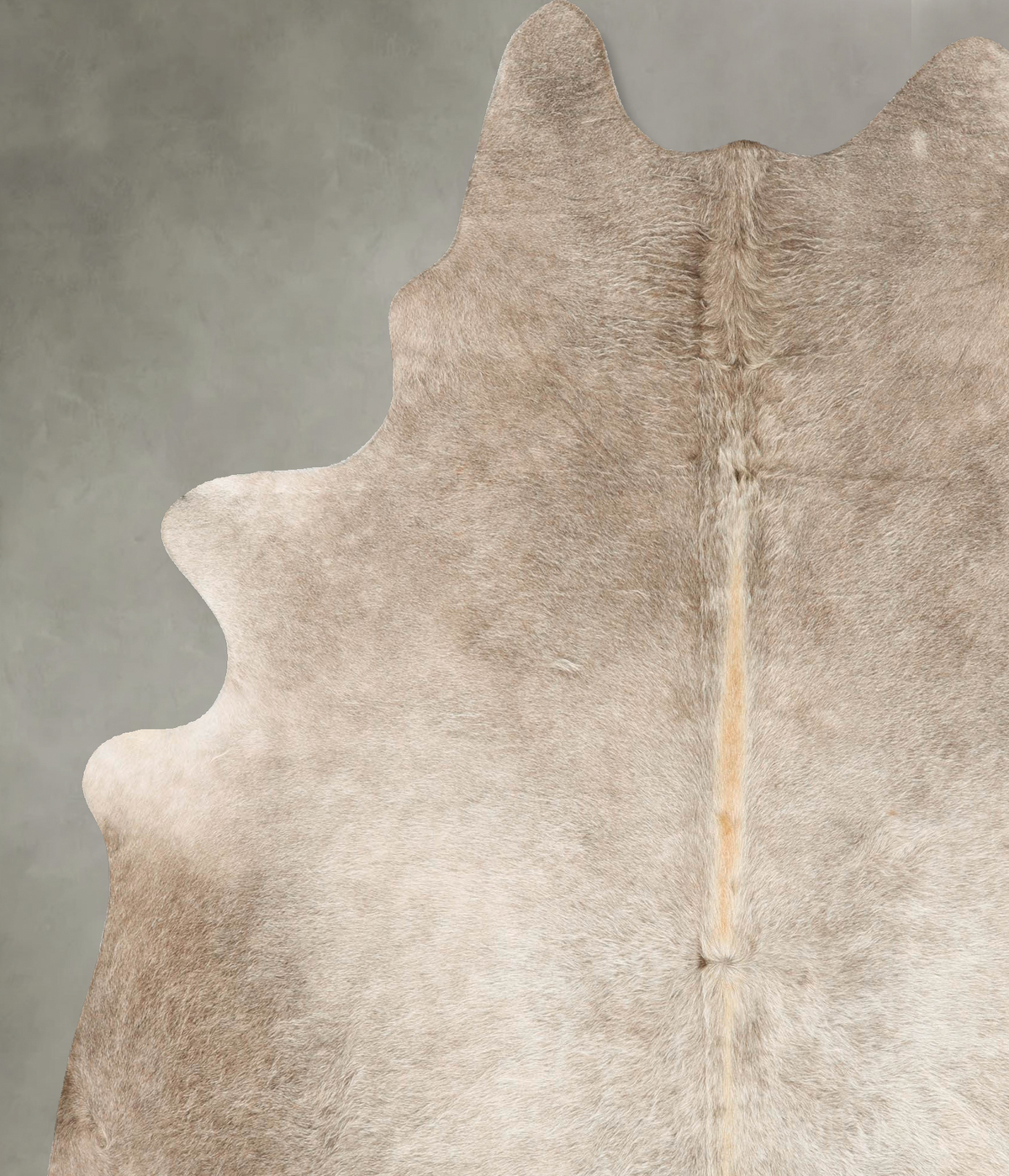 Champagne XX-Large Brazilian Cowhide Rug 7'8"H x 6'7"W #B28118 by Hudson Hides