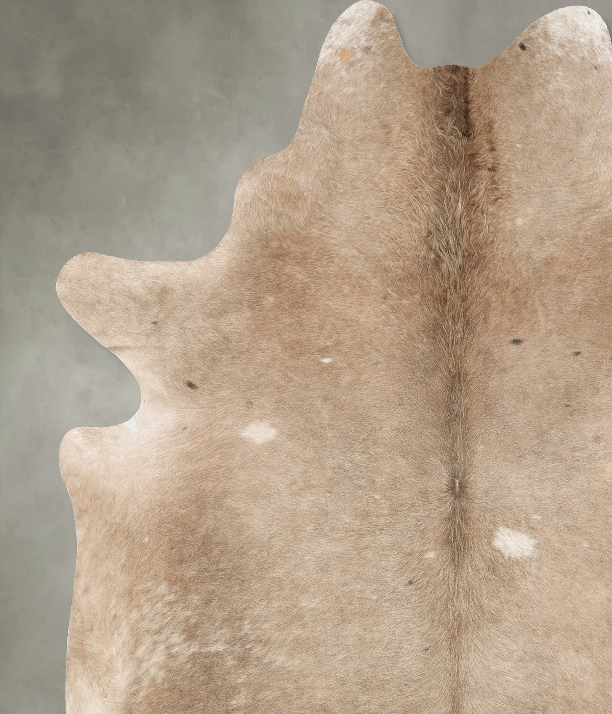 Taupe XX-Large Brazilian Cowhide Rug 8'7"H x 7'2"W #B28134 by Hudson Hides