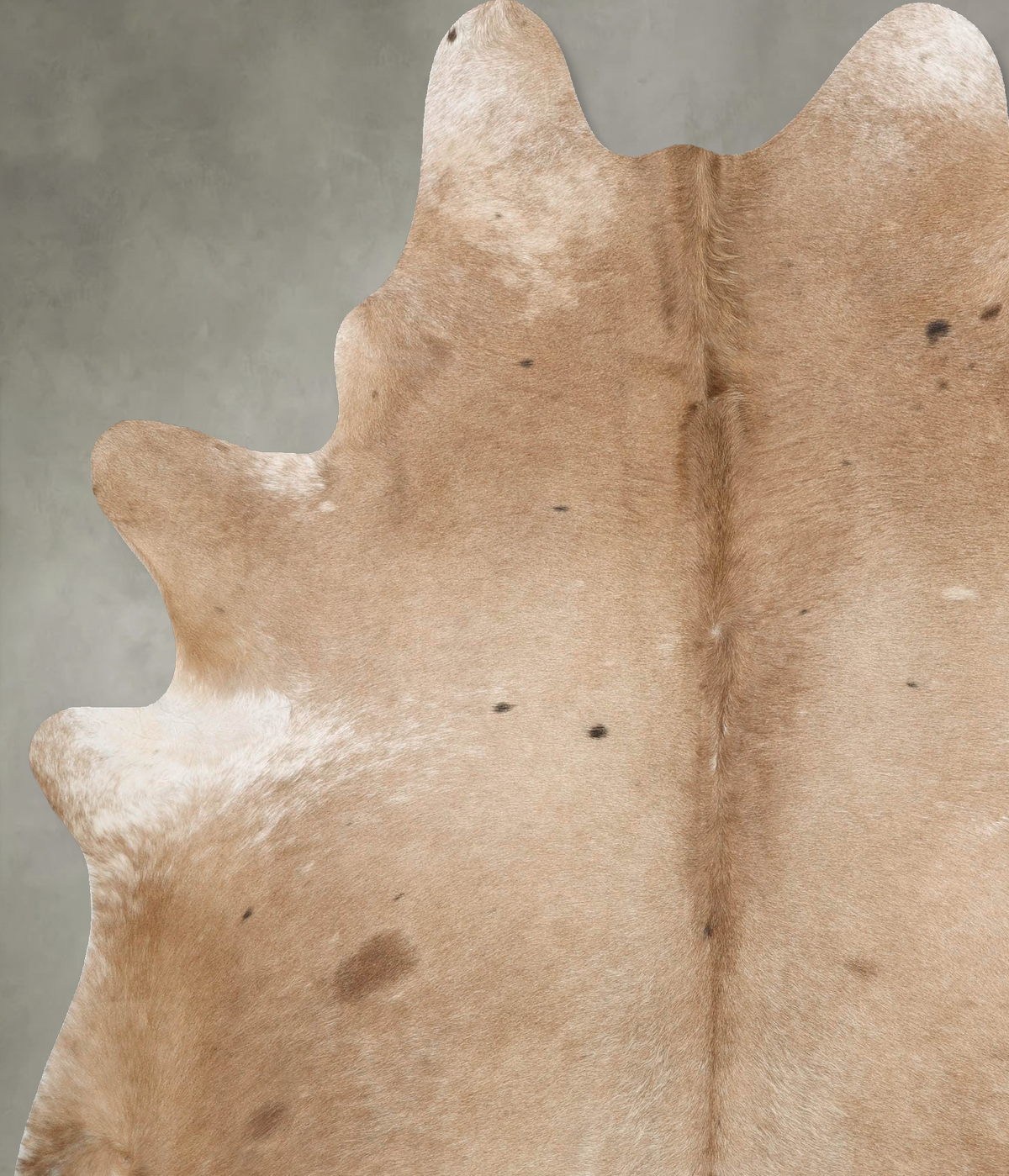Taupe XX-Large Brazilian Cowhide Rug 8'2"H x 6'9"W #B28135 by Hudson Hides