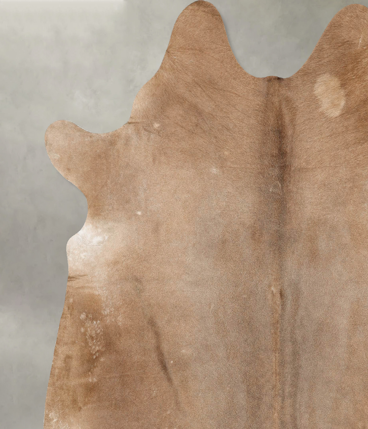 Taupe XX-Large Brazilian Cowhide Rug 7'8"H x 7'3"W #B28137 by Hudson Hides
