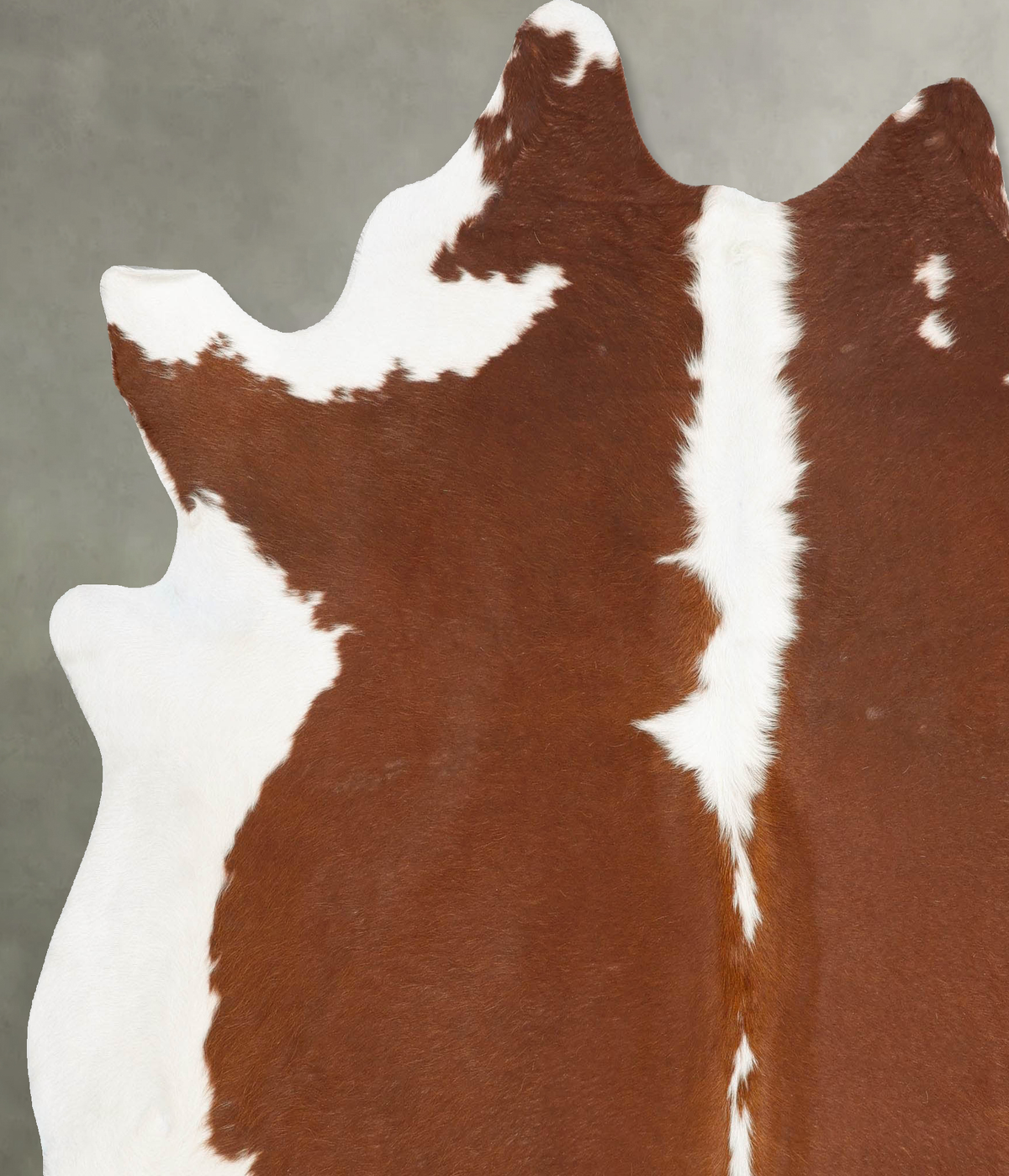 Brown and White XX-Large Brazilian Cowhide Rug 7'8"H x 6'10"W #B28140 by Hudson Hides