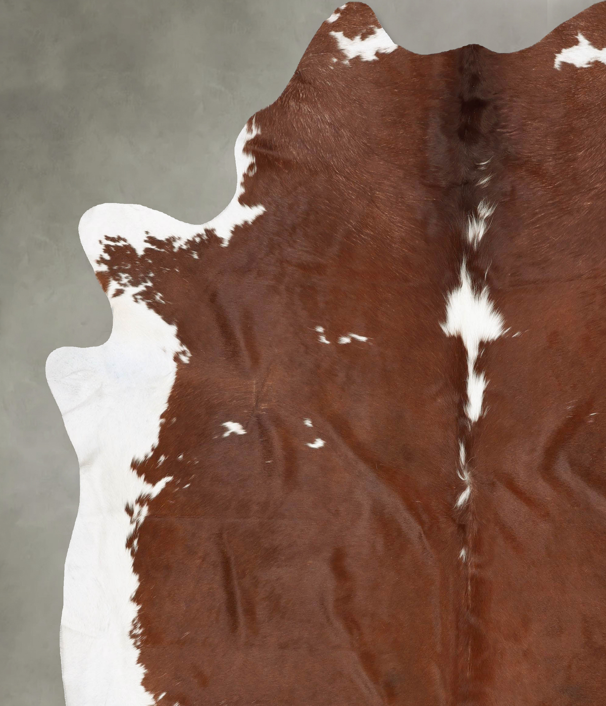 Brown and White XX-Large Brazilian Cowhide Rug 8'11"H x 7'9"W #B28143 by Hudson Hides