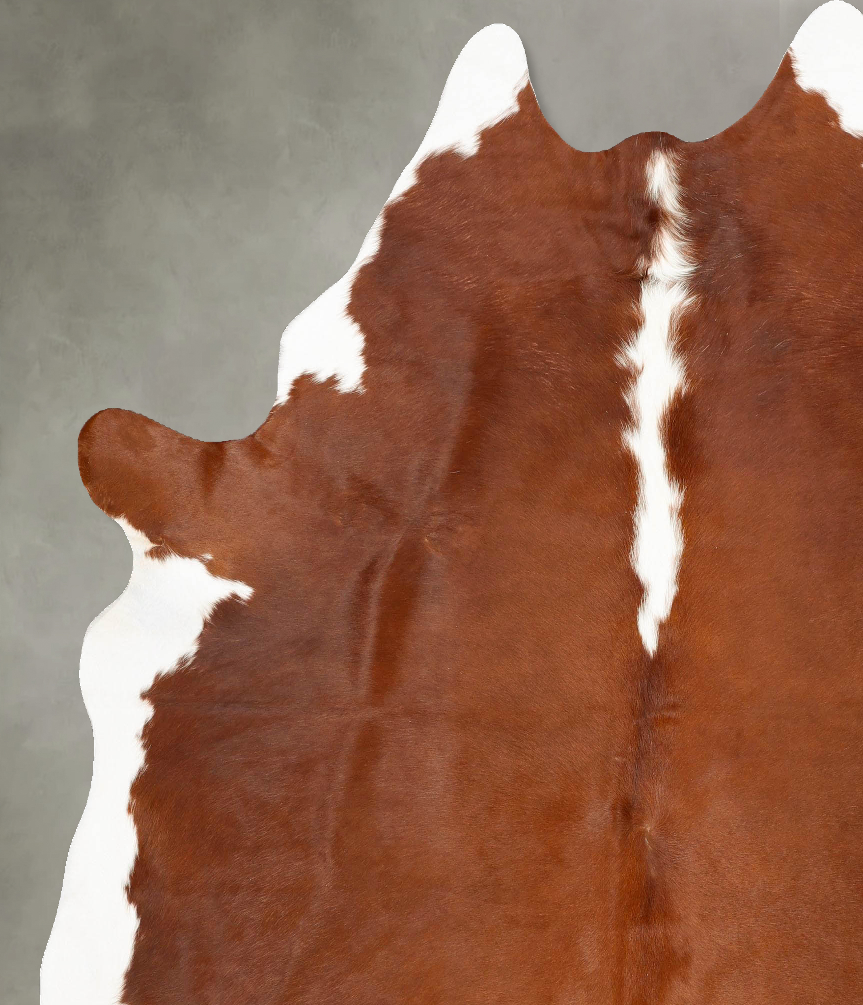 Hereford Cowhide Rug #B28146