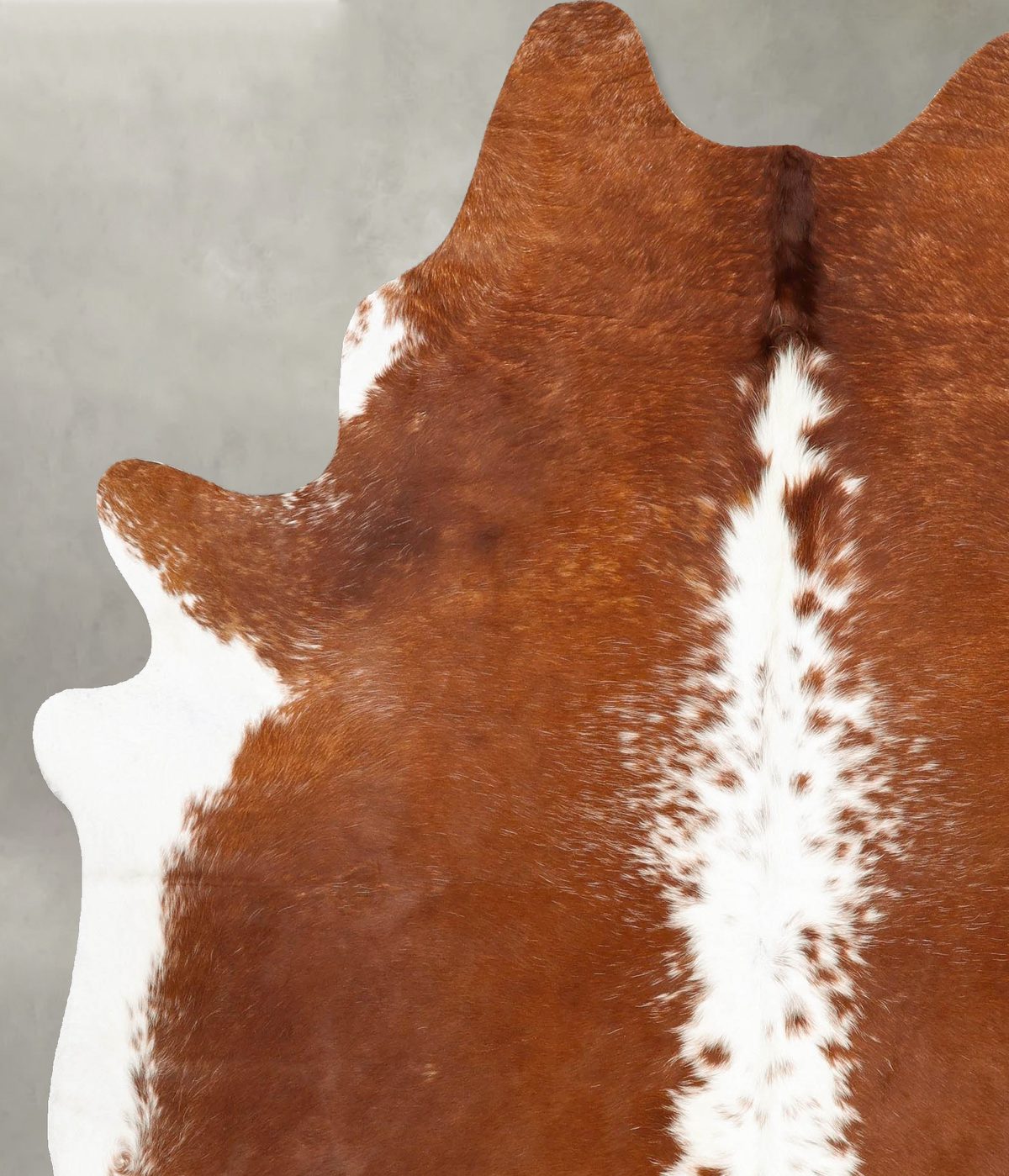 Brown and White Regular X-Large Brazilian Cowhide Rug 7'8"H x 6'3"W #B28157 by Hudson Hides