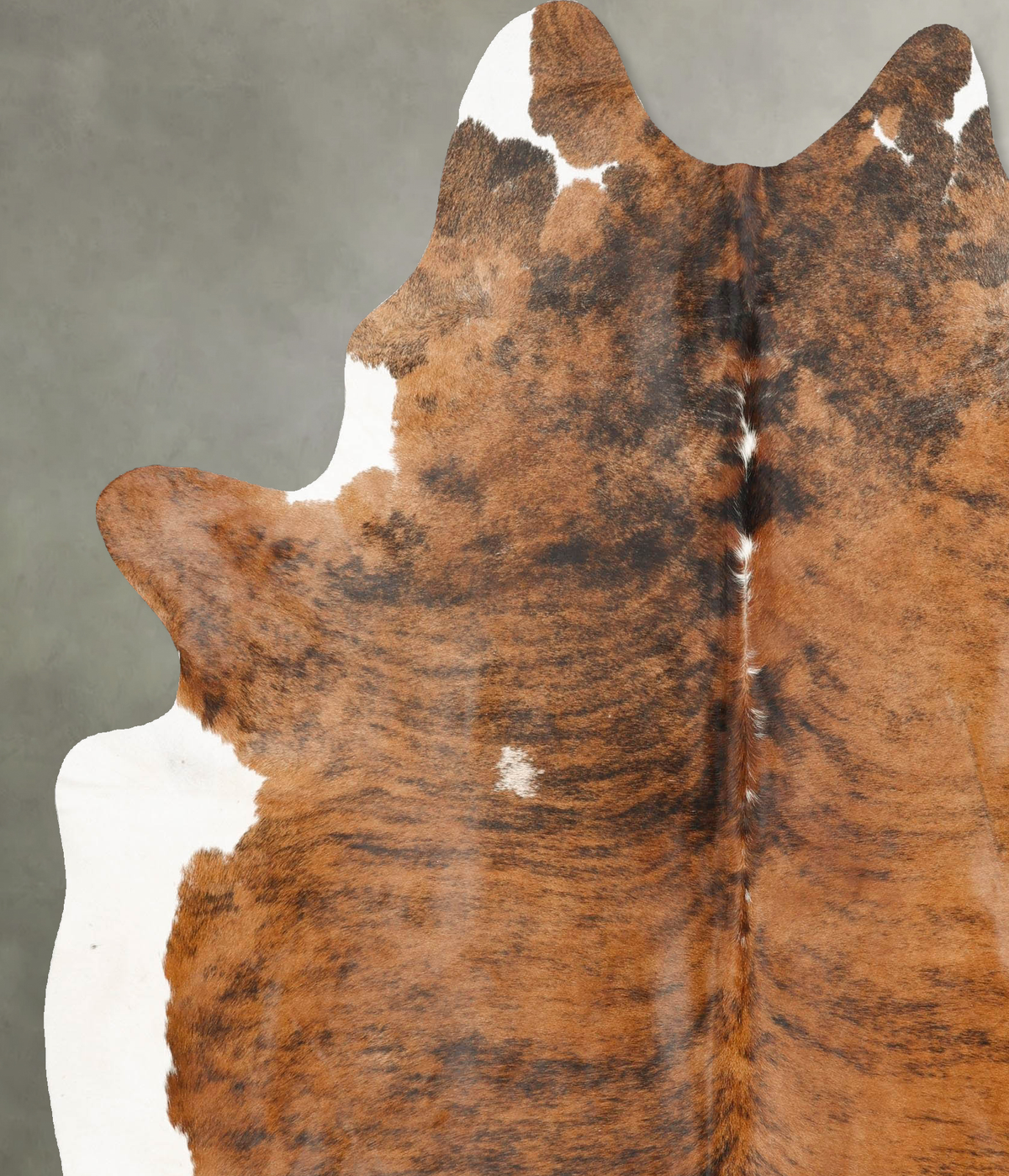 Medium Brindle XX-Large Brazilian Cowhide Rug 8'3"H x 6'6"W #B28173 by Hudson Hides