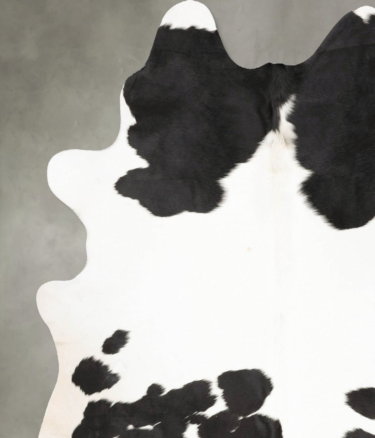 Black and White X-Large Brazilian Cowhide Rug 7'6"H x 6'3"W #B28181 by Hudson Hides