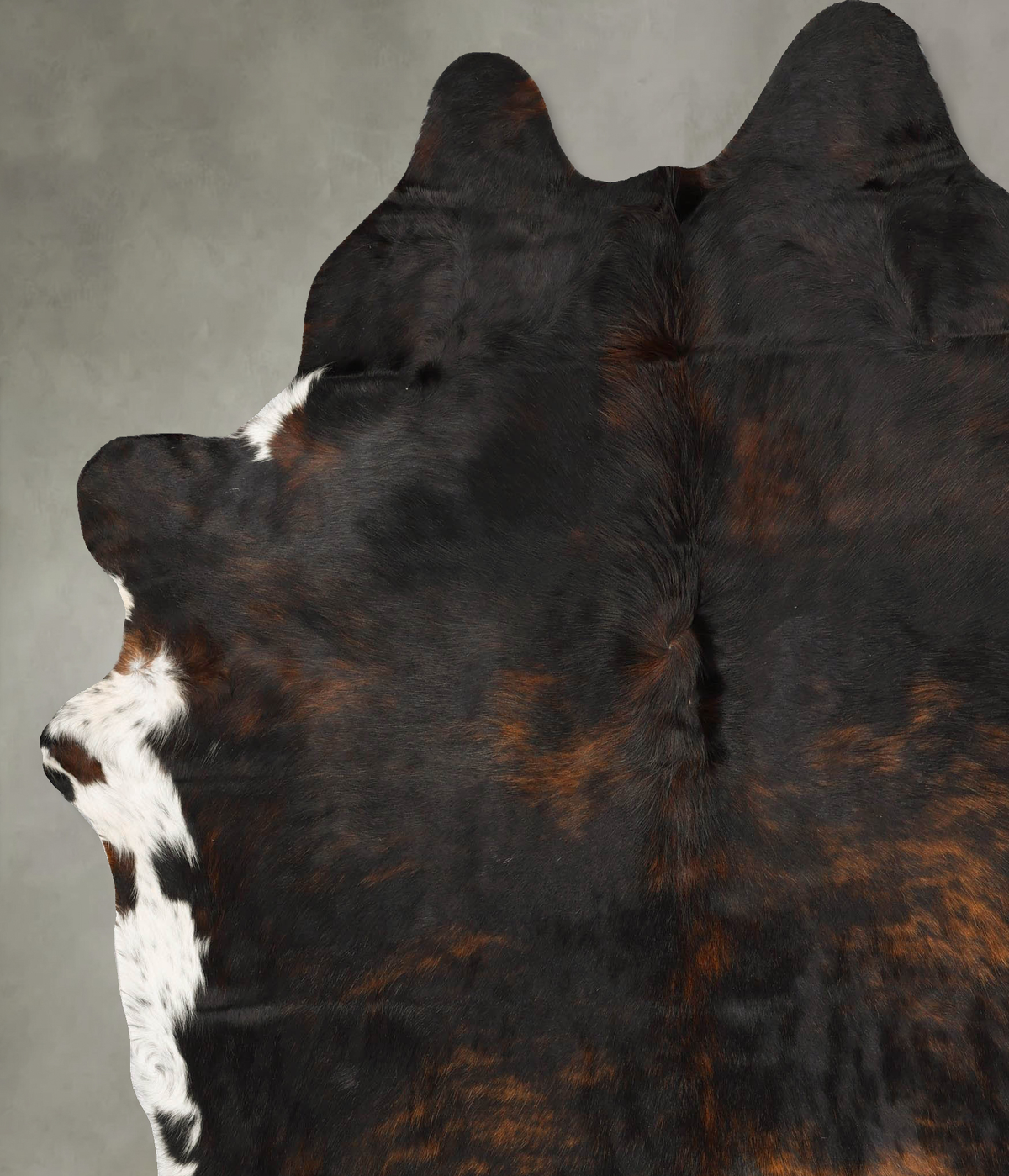 Dark Brindle XX-Large Brazilian Cowhide Rug 8'2"H x 6'11"W #B28188 by Hudson Hides