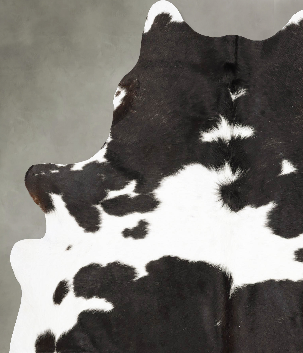 Black and White X-Large Brazilian Cowhide Rug 7'4"H x 6'0"W #B28209 by Hudson Hides