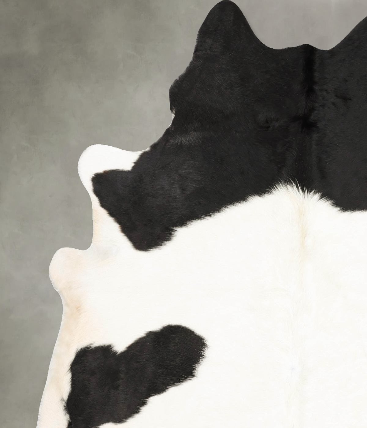 Black and White XX-Large Brazilian Cowhide Rug 7'8"H x 6'7"W #B28229 by Hudson Hides