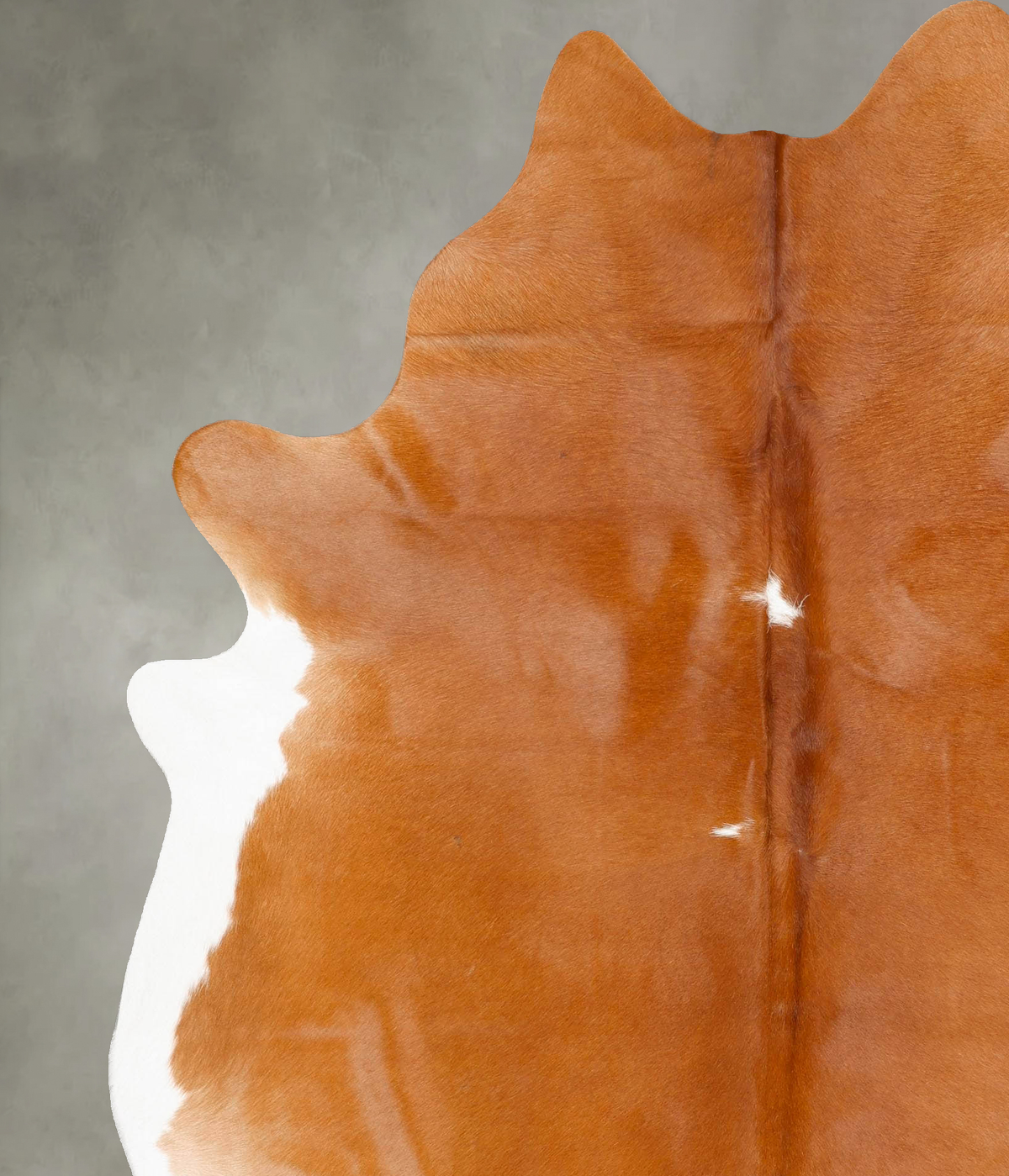 Brown and White Regular XX-Large Brazilian Cowhide Rug 8'0"H x 6'5"W #B28232 by Hudson Hides
