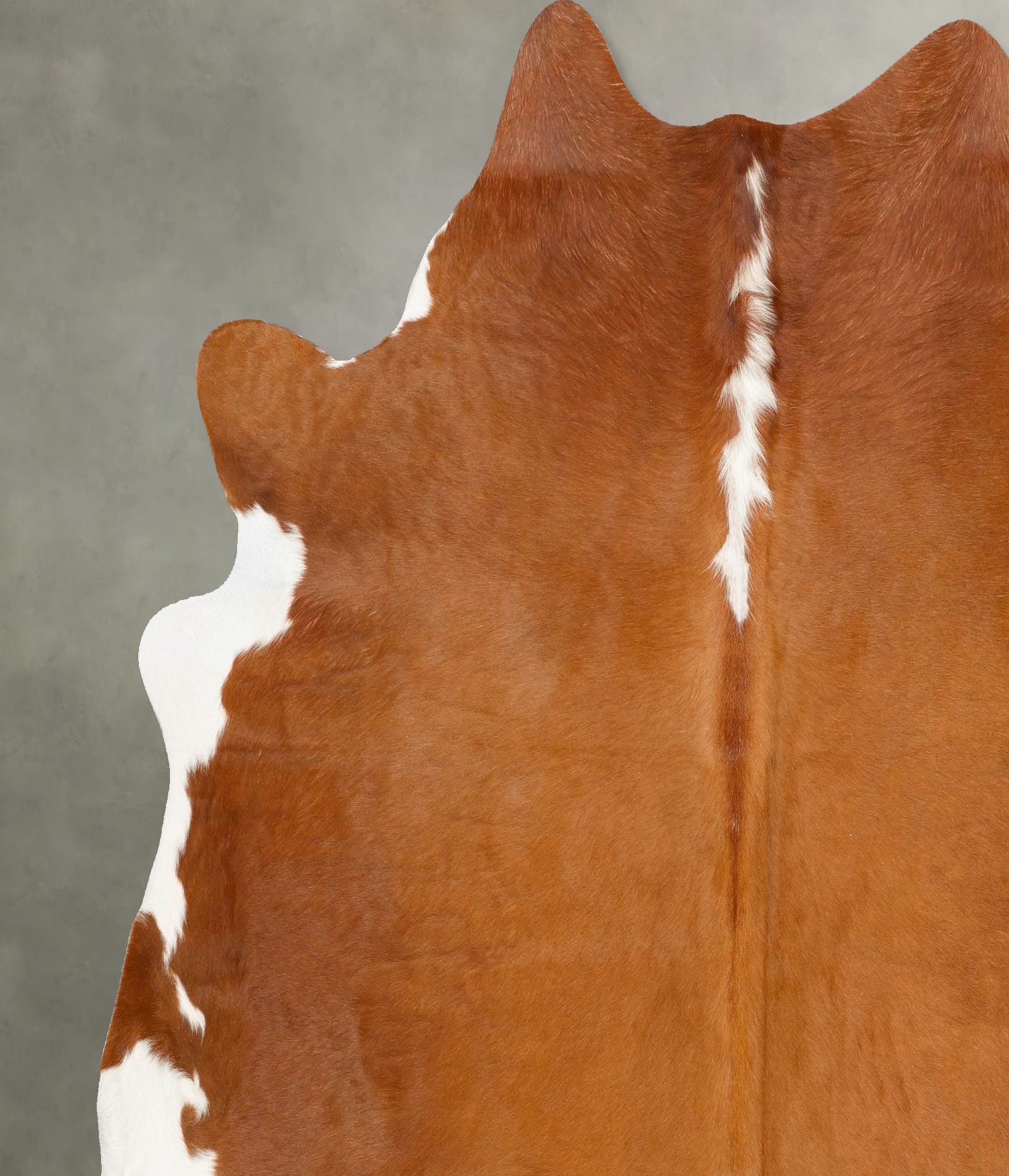 Hereford Cowhide Rug #B28239