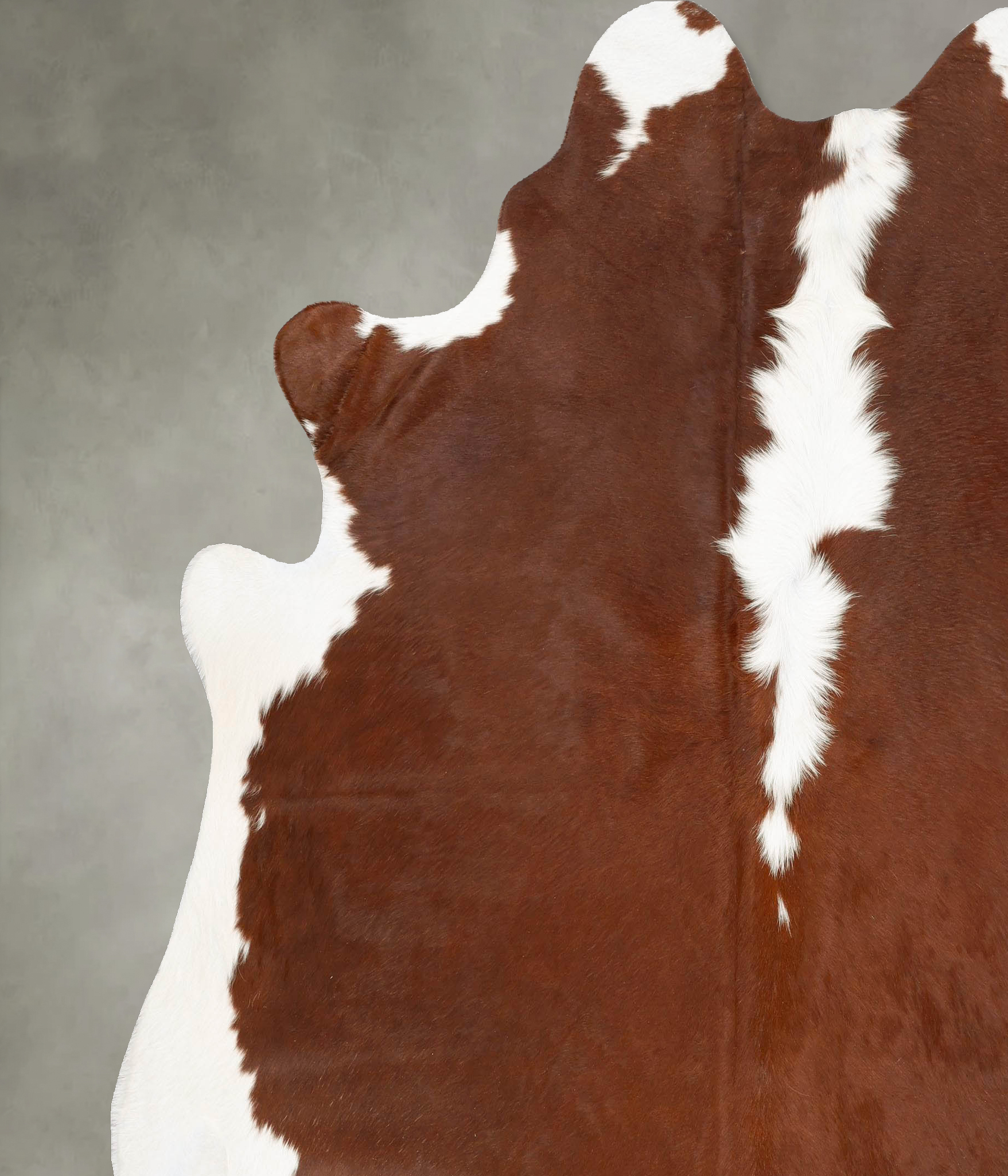 Hereford Cowhide Rug #B28241