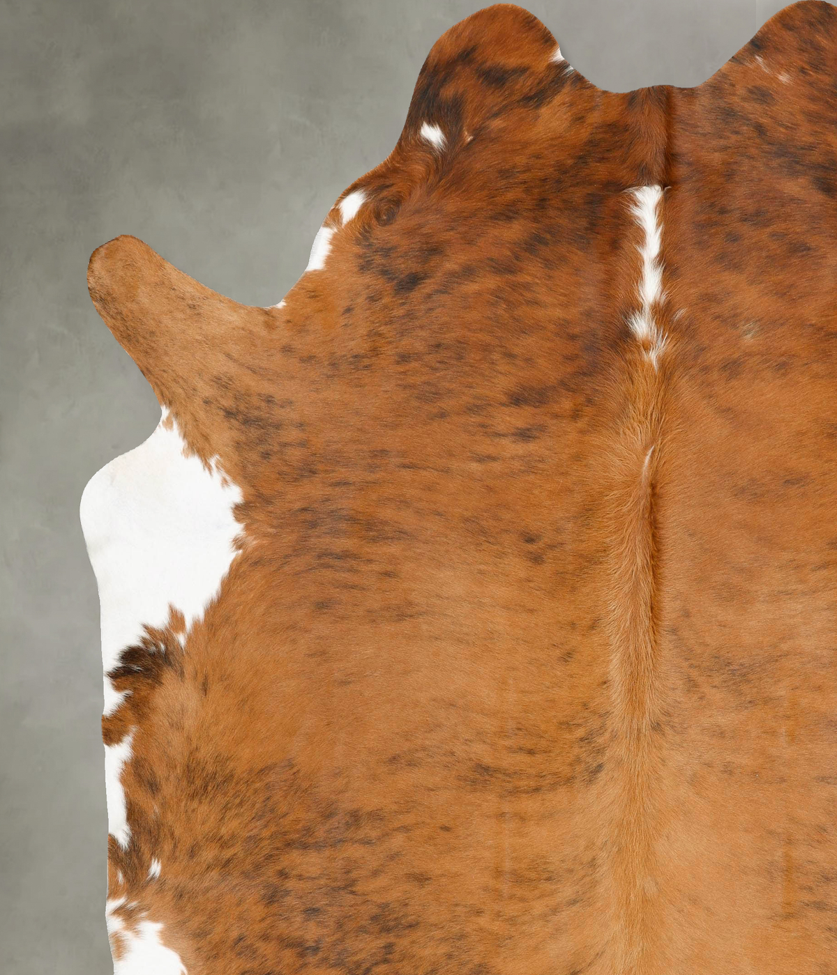 Medium Brindle XX-Large Brazilian Cowhide Rug 8'4"H x 7'2"W #B28245 by Hudson Hides