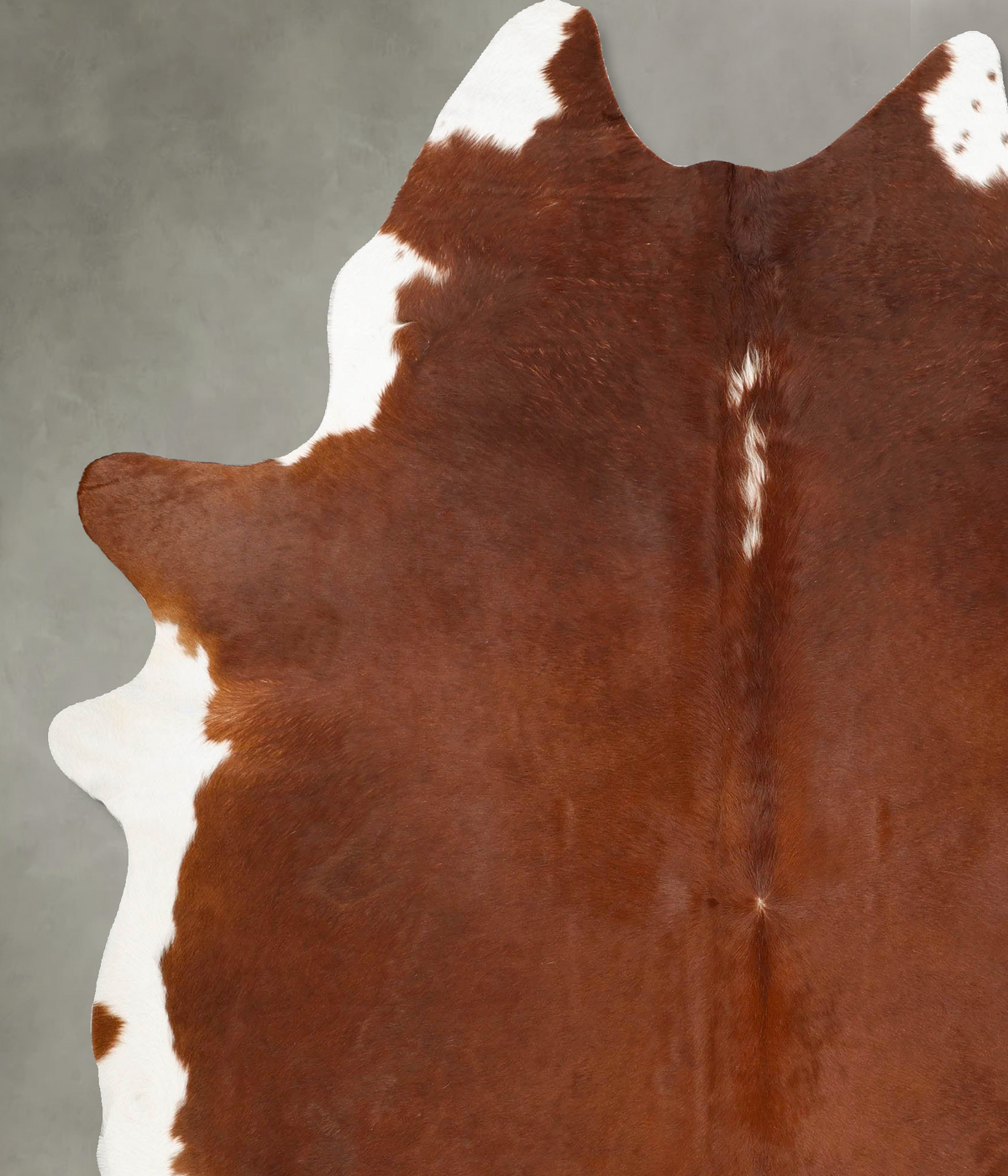 Brown and White Regular XX-Large Brazilian Cowhide Rug 8'9"H x 6'7"W #B28250 by Hudson Hides