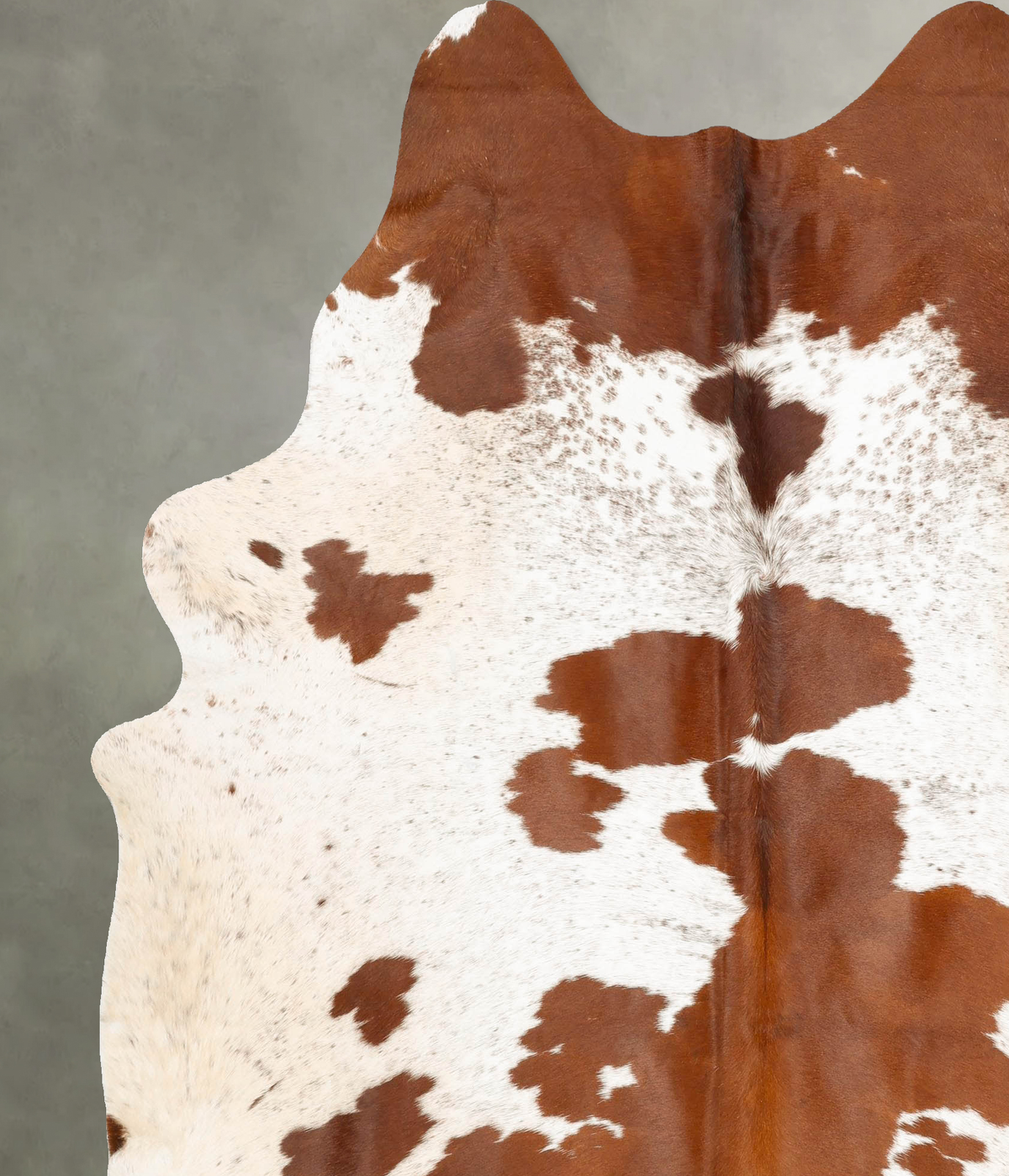 Brown and White XX-Large Brazilian Cowhide Rug 8'3"H x 6'7"W #B28254 by Hudson Hides