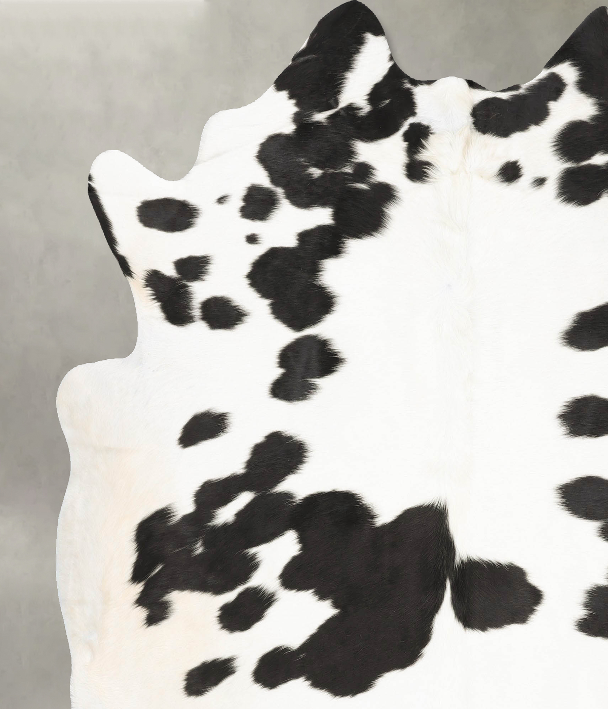 Black and White XX-Large Brazilian Cowhide Rug 7'7"H x 6'8"W #B28262 by Hudson Hides