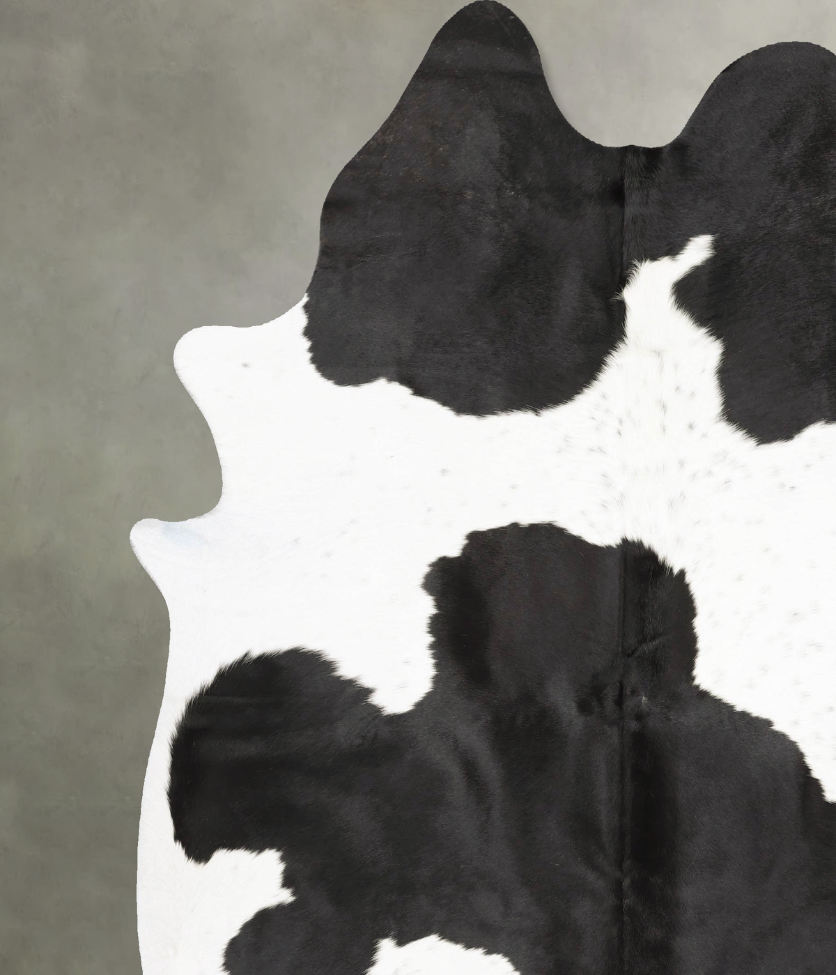 Black and White XX-Large Brazilian Cowhide Rug 8'2"H x 7'0"W #B28263 by Hudson Hides