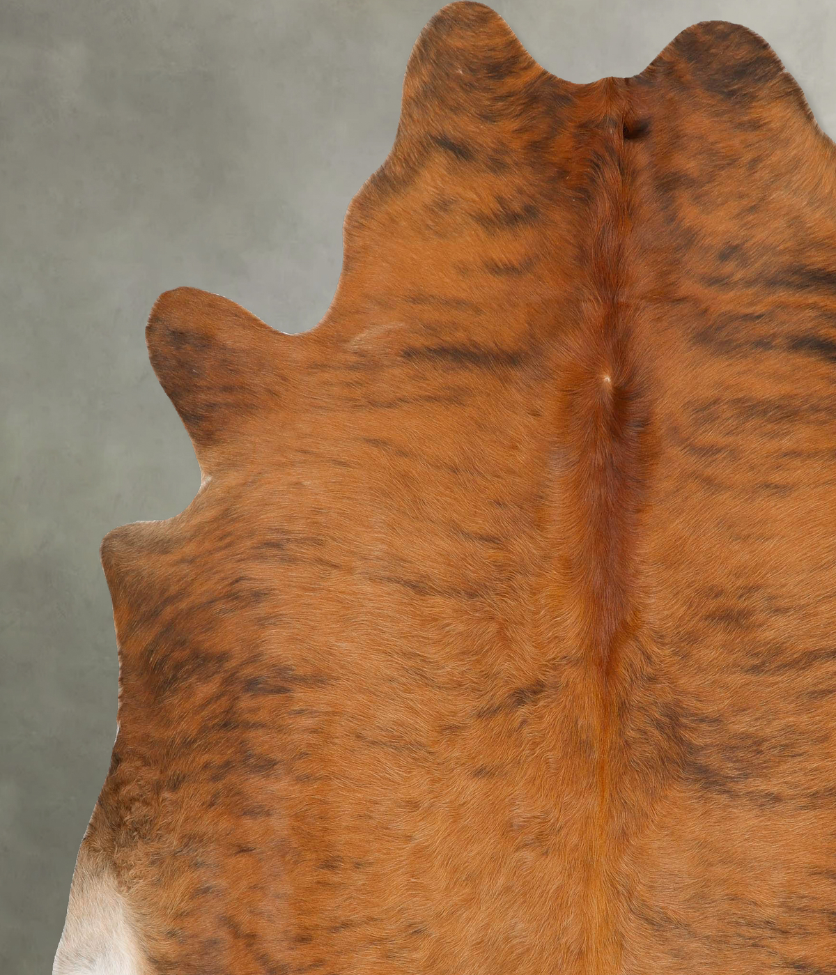 Medium Brindle XX-Large Brazilian Cowhide Rug 7'7"H x 6'10"W #B28280 by Hudson Hides