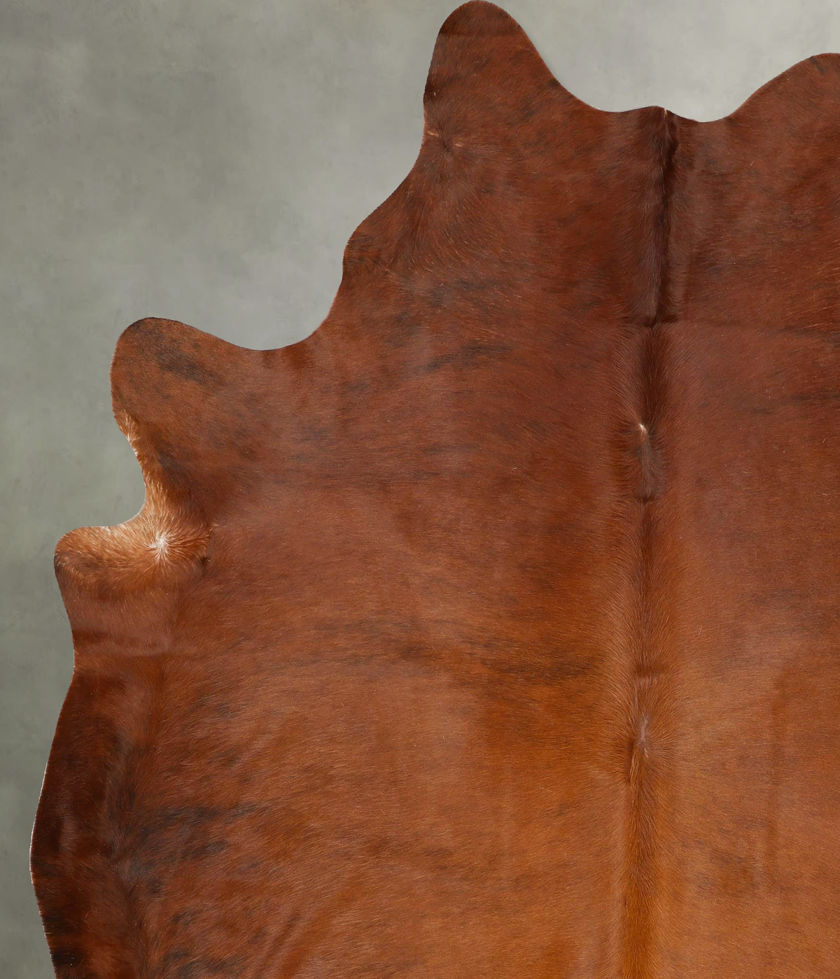 Medium Brindle XX-Large Brazilian Cowhide Rug 8'3"H x 6'9"W #B28283 by Hudson Hides