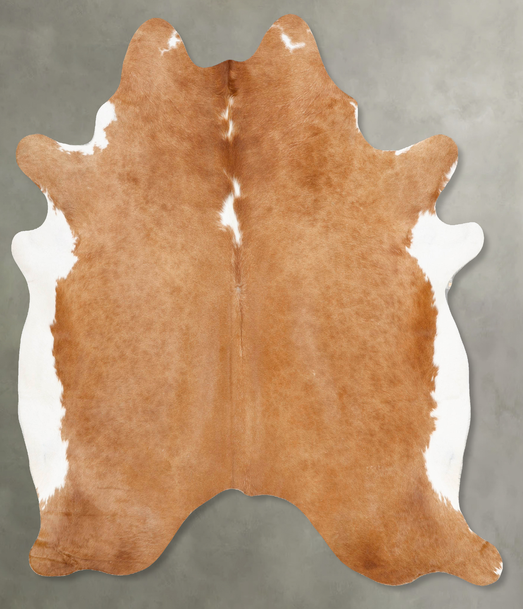 Brown and White Regular Cowhide Rug #B28284