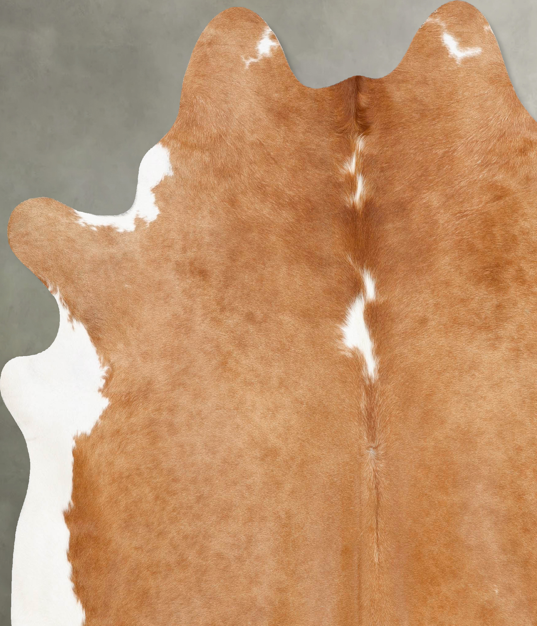 Brown and White Regular Cowhide Rug #B28284