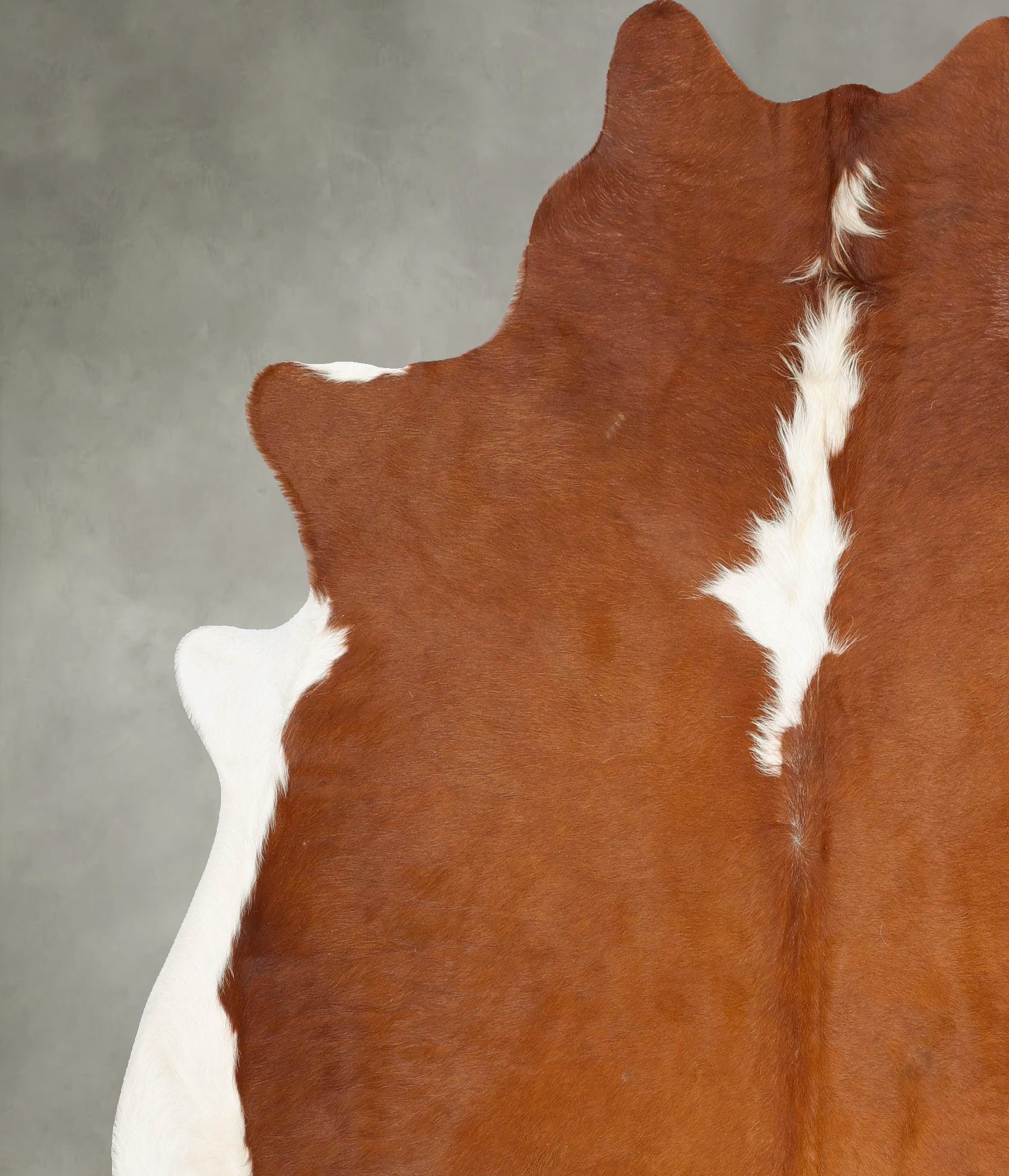 Hereford Cowhide Rug #B28285