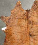 Medium Brindle X-Large Brazilian Cowhide Rug 7'8"H x 5'9"W #B28296 by Hudson Hides