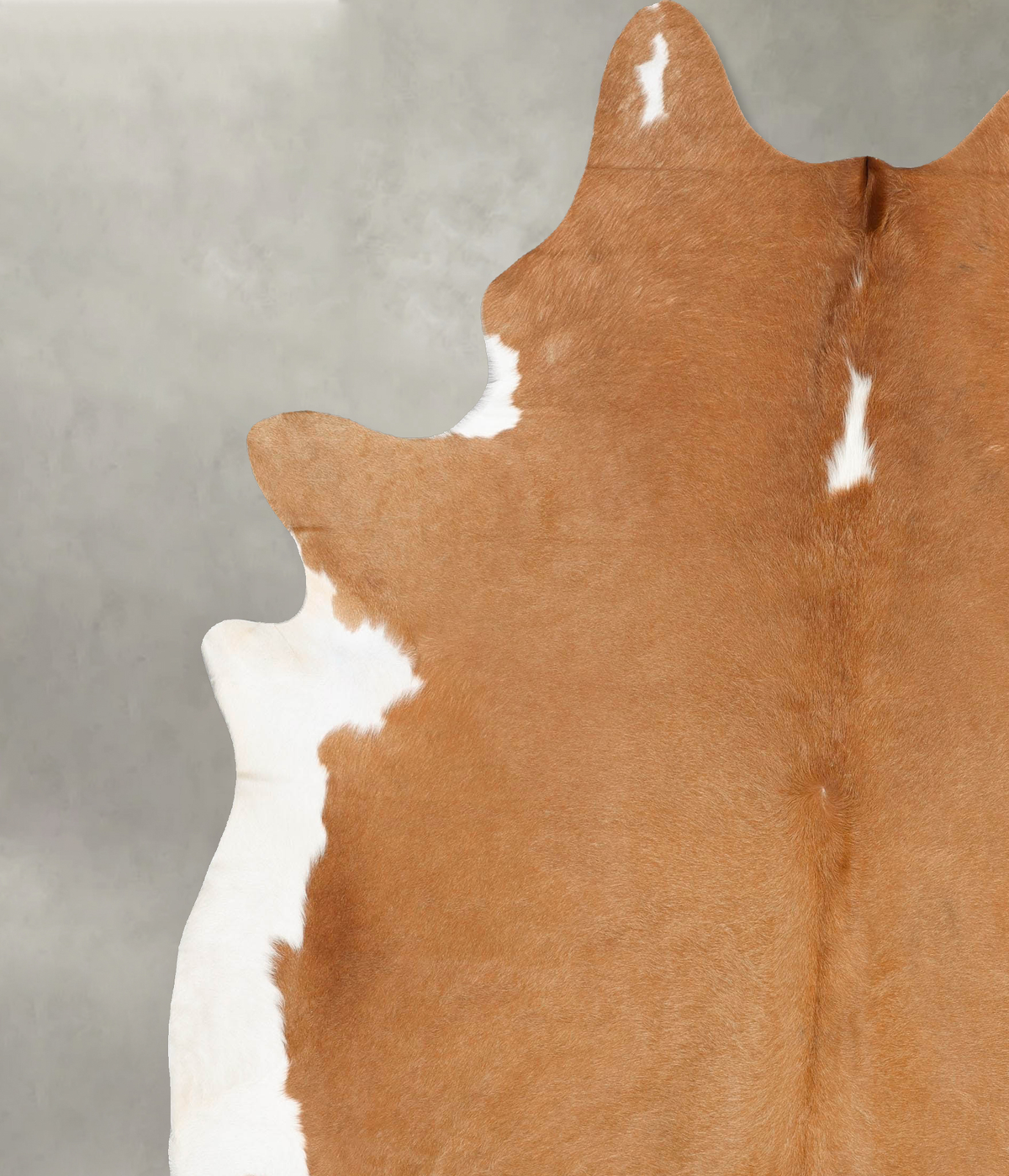 Brown and White Regular XX-Large Brazilian Cowhide Rug 8'8"H x 7'5"W #B28320 by Hudson Hides