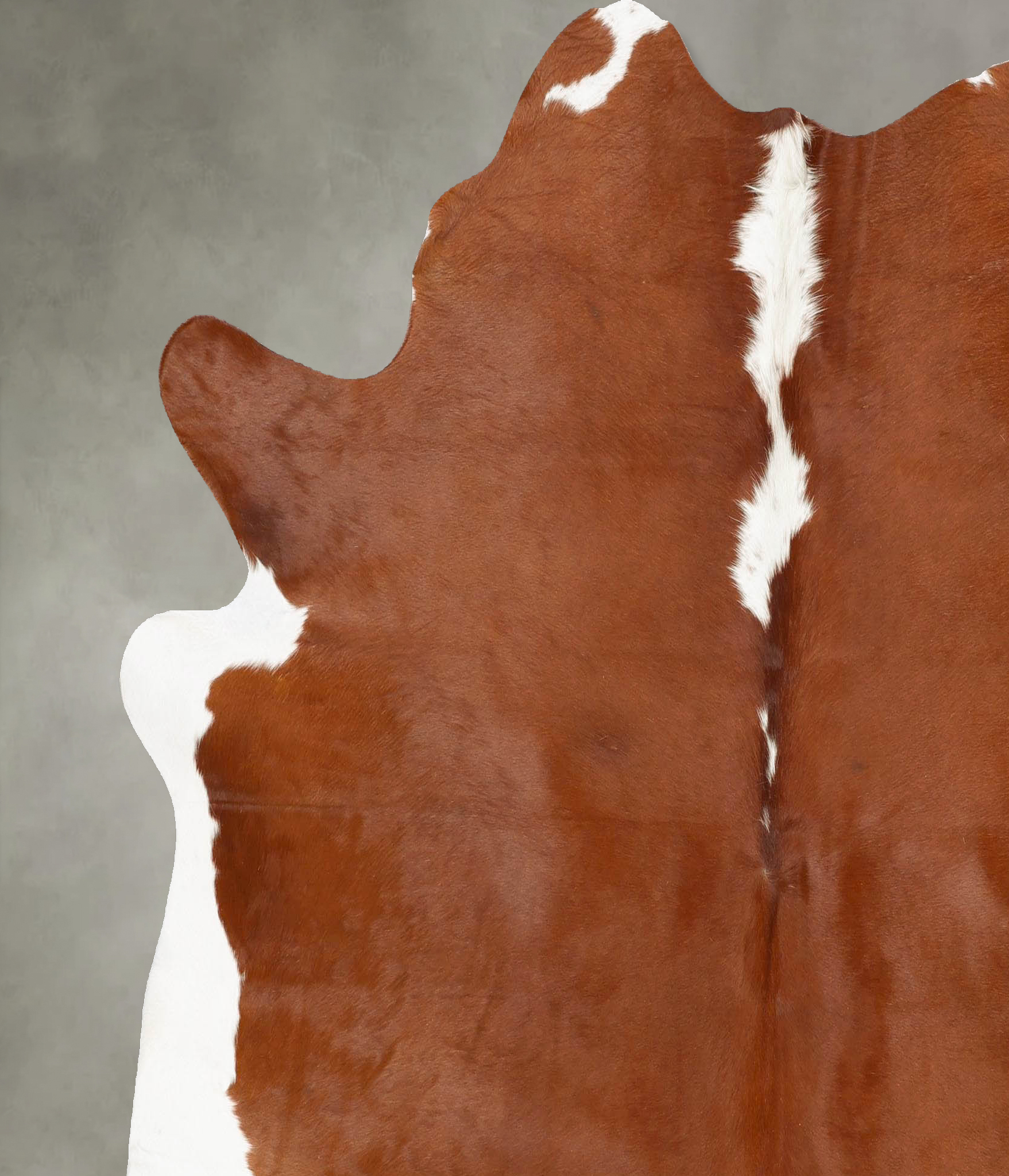 Hereford Cowhide Rug #B28321