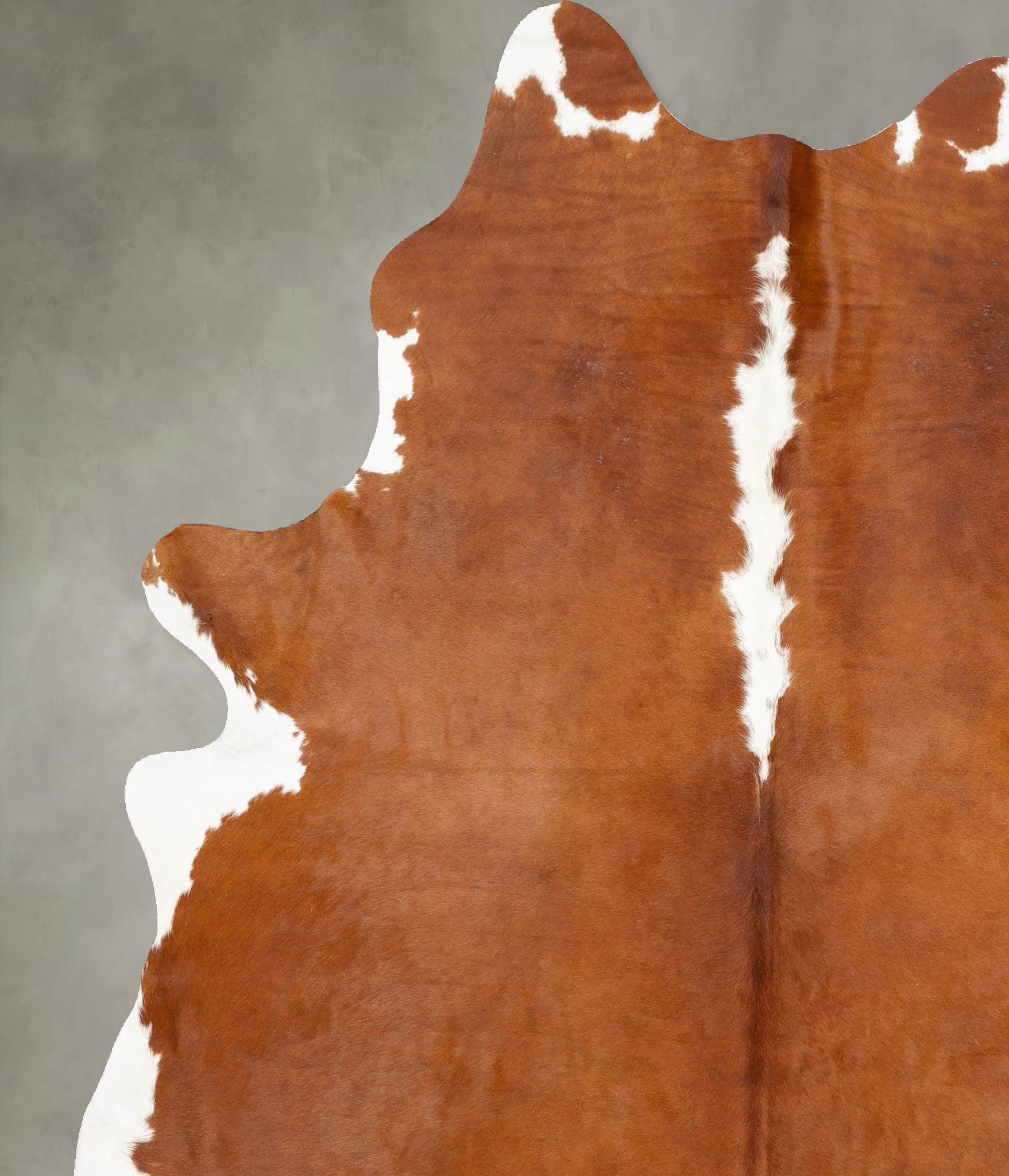 Hereford Cowhide Rug #B28328